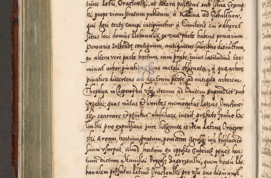 Zdjęcie nr 351 dla obiektu archiwalnego: Illistrissimo et revedissimo in Christo Patre Domino Domino Georgio Rzadziwił Miserone Divina Sacrostae R. E. Tituli S. Sixti Presbitero Cardinali Duce in Olyka et Niesswiesz ad Gubernacula Ecclessiae Cracoviensis cuius administratorialem a Sancta Sede Apostolica obtinverat feliciter sedente. Acta actorum, causarum, sententiarum tam deffinitivarum quam interloquutoriarum decretorum, obligationum, quietationum, recognitionum, constitutionum procuratorum etc. coram Reverendo Domino Stanislao Crassinskz de Crasne Archidiacono Cracoviensis, Scholastico Gnesnesis, Custode Plocensis etc. Vicario et Officiali Generali Cracoviensi in Ano Domini Millesimo Quingentesimo Nonagesimo Primo cuius indictio quarta pontificatus SS. Domini Nostri Gregorii XIIII Anno I psius prio feliciter incipiut