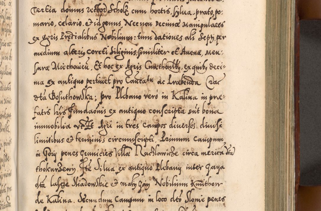 Zdjęcie nr 350 dla obiektu archiwalnego: Illistrissimo et revedissimo in Christo Patre Domino Domino Georgio Rzadziwił Miserone Divina Sacrostae R. E. Tituli S. Sixti Presbitero Cardinali Duce in Olyka et Niesswiesz ad Gubernacula Ecclessiae Cracoviensis cuius administratorialem a Sancta Sede Apostolica obtinverat feliciter sedente. Acta actorum, causarum, sententiarum tam deffinitivarum quam interloquutoriarum decretorum, obligationum, quietationum, recognitionum, constitutionum procuratorum etc. coram Reverendo Domino Stanislao Crassinskz de Crasne Archidiacono Cracoviensis, Scholastico Gnesnesis, Custode Plocensis etc. Vicario et Officiali Generali Cracoviensi in Ano Domini Millesimo Quingentesimo Nonagesimo Primo cuius indictio quarta pontificatus SS. Domini Nostri Gregorii XIIII Anno I psius prio feliciter incipiut