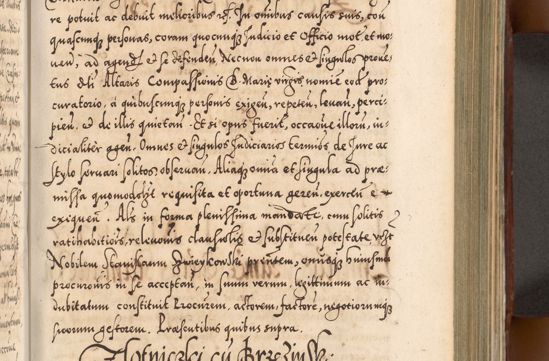 Zdjęcie nr 332 dla obiektu archiwalnego: Illistrissimo et revedissimo in Christo Patre Domino Domino Georgio Rzadziwił Miserone Divina Sacrostae R. E. Tituli S. Sixti Presbitero Cardinali Duce in Olyka et Niesswiesz ad Gubernacula Ecclessiae Cracoviensis cuius administratorialem a Sancta Sede Apostolica obtinverat feliciter sedente. Acta actorum, causarum, sententiarum tam deffinitivarum quam interloquutoriarum decretorum, obligationum, quietationum, recognitionum, constitutionum procuratorum etc. coram Reverendo Domino Stanislao Crassinskz de Crasne Archidiacono Cracoviensis, Scholastico Gnesnesis, Custode Plocensis etc. Vicario et Officiali Generali Cracoviensi in Ano Domini Millesimo Quingentesimo Nonagesimo Primo cuius indictio quarta pontificatus SS. Domini Nostri Gregorii XIIII Anno I psius prio feliciter incipiut