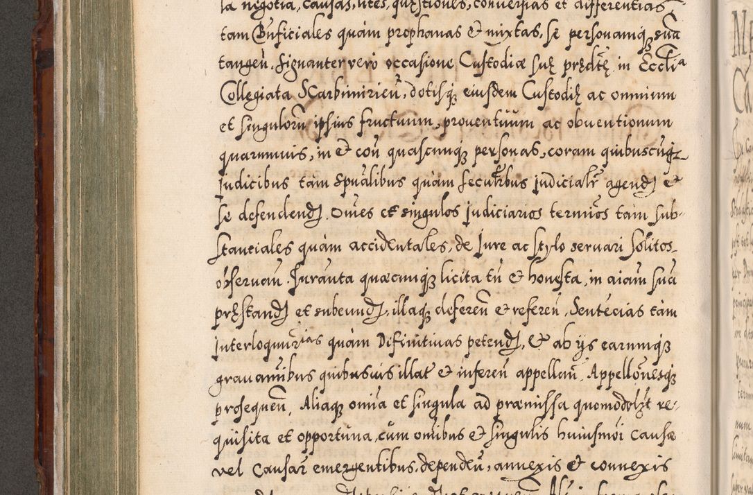 Zdjęcie nr 309 dla obiektu archiwalnego: Illistrissimo et revedissimo in Christo Patre Domino Domino Georgio Rzadziwił Miserone Divina Sacrostae R. E. Tituli S. Sixti Presbitero Cardinali Duce in Olyka et Niesswiesz ad Gubernacula Ecclessiae Cracoviensis cuius administratorialem a Sancta Sede Apostolica obtinverat feliciter sedente. Acta actorum, causarum, sententiarum tam deffinitivarum quam interloquutoriarum decretorum, obligationum, quietationum, recognitionum, constitutionum procuratorum etc. coram Reverendo Domino Stanislao Crassinskz de Crasne Archidiacono Cracoviensis, Scholastico Gnesnesis, Custode Plocensis etc. Vicario et Officiali Generali Cracoviensi in Ano Domini Millesimo Quingentesimo Nonagesimo Primo cuius indictio quarta pontificatus SS. Domini Nostri Gregorii XIIII Anno I psius prio feliciter incipiut