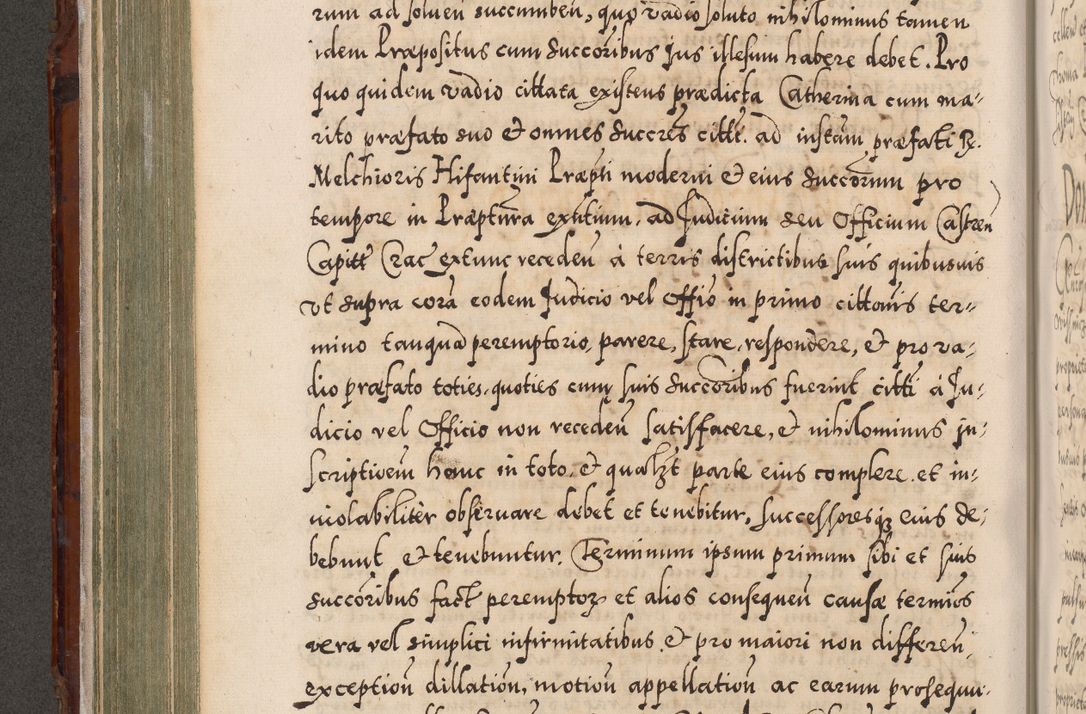 Zdjęcie nr 305 dla obiektu archiwalnego: Illistrissimo et revedissimo in Christo Patre Domino Domino Georgio Rzadziwił Miserone Divina Sacrostae R. E. Tituli S. Sixti Presbitero Cardinali Duce in Olyka et Niesswiesz ad Gubernacula Ecclessiae Cracoviensis cuius administratorialem a Sancta Sede Apostolica obtinverat feliciter sedente. Acta actorum, causarum, sententiarum tam deffinitivarum quam interloquutoriarum decretorum, obligationum, quietationum, recognitionum, constitutionum procuratorum etc. coram Reverendo Domino Stanislao Crassinskz de Crasne Archidiacono Cracoviensis, Scholastico Gnesnesis, Custode Plocensis etc. Vicario et Officiali Generali Cracoviensi in Ano Domini Millesimo Quingentesimo Nonagesimo Primo cuius indictio quarta pontificatus SS. Domini Nostri Gregorii XIIII Anno I psius prio feliciter incipiut