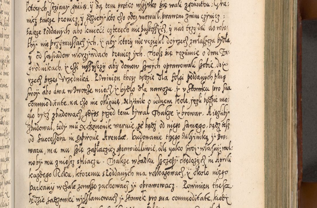 Zdjęcie nr 236 dla obiektu archiwalnego: Illistrissimo et revedissimo in Christo Patre Domino Domino Georgio Rzadziwił Miserone Divina Sacrostae R. E. Tituli S. Sixti Presbitero Cardinali Duce in Olyka et Niesswiesz ad Gubernacula Ecclessiae Cracoviensis cuius administratorialem a Sancta Sede Apostolica obtinverat feliciter sedente. Acta actorum, causarum, sententiarum tam deffinitivarum quam interloquutoriarum decretorum, obligationum, quietationum, recognitionum, constitutionum procuratorum etc. coram Reverendo Domino Stanislao Crassinskz de Crasne Archidiacono Cracoviensis, Scholastico Gnesnesis, Custode Plocensis etc. Vicario et Officiali Generali Cracoviensi in Ano Domini Millesimo Quingentesimo Nonagesimo Primo cuius indictio quarta pontificatus SS. Domini Nostri Gregorii XIIII Anno I psius prio feliciter incipiut