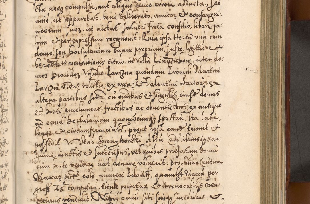 Zdjęcie nr 508 dla obiektu archiwalnego: Illistrissimo et revedissimo in Christo Patre Domino Domino Georgio Rzadziwił Miserone Divina Sacrostae R. E. Tituli S. Sixti Presbitero Cardinali Duce in Olyka et Niesswiesz ad Gubernacula Ecclessiae Cracoviensis cuius administratorialem a Sancta Sede Apostolica obtinverat feliciter sedente. Acta actorum, causarum, sententiarum tam deffinitivarum quam interloquutoriarum decretorum, obligationum, quietationum, recognitionum, constitutionum procuratorum etc. coram Reverendo Domino Stanislao Crassinskz de Crasne Archidiacono Cracoviensis, Scholastico Gnesnesis, Custode Plocensis etc. Vicario et Officiali Generali Cracoviensi in Ano Domini Millesimo Quingentesimo Nonagesimo Primo cuius indictio quarta pontificatus SS. Domini Nostri Gregorii XIIII Anno I psius prio feliciter incipiut