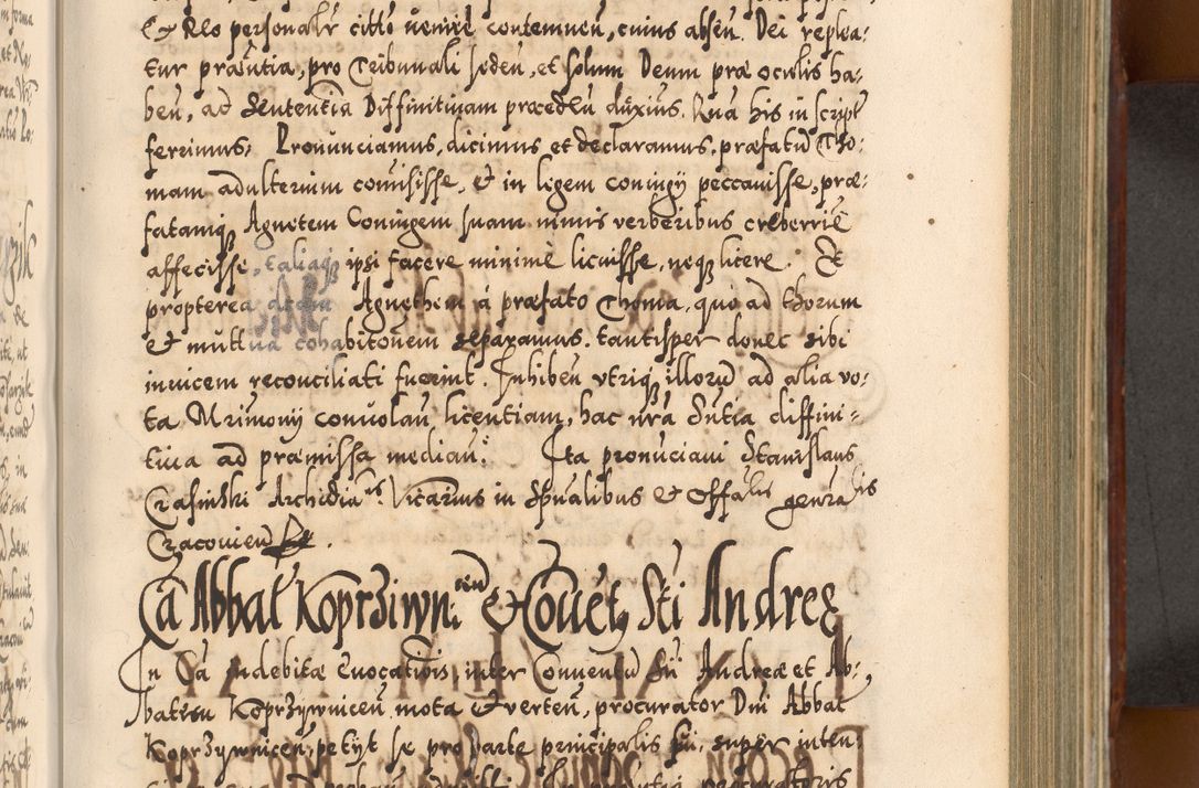 Zdjęcie nr 496 dla obiektu archiwalnego: Illistrissimo et revedissimo in Christo Patre Domino Domino Georgio Rzadziwił Miserone Divina Sacrostae R. E. Tituli S. Sixti Presbitero Cardinali Duce in Olyka et Niesswiesz ad Gubernacula Ecclessiae Cracoviensis cuius administratorialem a Sancta Sede Apostolica obtinverat feliciter sedente. Acta actorum, causarum, sententiarum tam deffinitivarum quam interloquutoriarum decretorum, obligationum, quietationum, recognitionum, constitutionum procuratorum etc. coram Reverendo Domino Stanislao Crassinskz de Crasne Archidiacono Cracoviensis, Scholastico Gnesnesis, Custode Plocensis etc. Vicario et Officiali Generali Cracoviensi in Ano Domini Millesimo Quingentesimo Nonagesimo Primo cuius indictio quarta pontificatus SS. Domini Nostri Gregorii XIIII Anno I psius prio feliciter incipiut