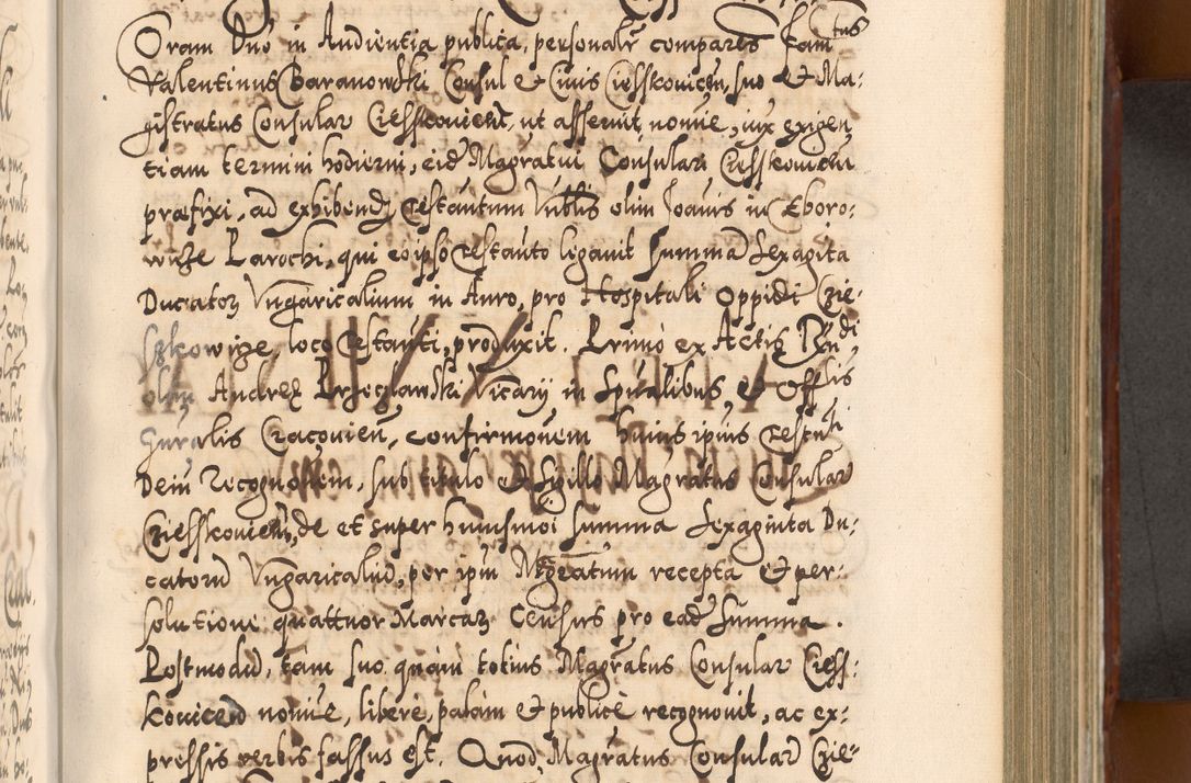 Zdjęcie nr 488 dla obiektu archiwalnego: Illistrissimo et revedissimo in Christo Patre Domino Domino Georgio Rzadziwił Miserone Divina Sacrostae R. E. Tituli S. Sixti Presbitero Cardinali Duce in Olyka et Niesswiesz ad Gubernacula Ecclessiae Cracoviensis cuius administratorialem a Sancta Sede Apostolica obtinverat feliciter sedente. Acta actorum, causarum, sententiarum tam deffinitivarum quam interloquutoriarum decretorum, obligationum, quietationum, recognitionum, constitutionum procuratorum etc. coram Reverendo Domino Stanislao Crassinskz de Crasne Archidiacono Cracoviensis, Scholastico Gnesnesis, Custode Plocensis etc. Vicario et Officiali Generali Cracoviensi in Ano Domini Millesimo Quingentesimo Nonagesimo Primo cuius indictio quarta pontificatus SS. Domini Nostri Gregorii XIIII Anno I psius prio feliciter incipiut