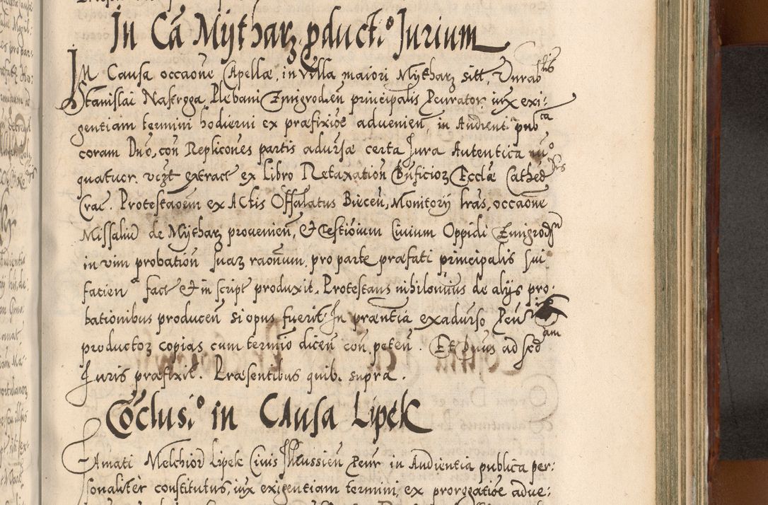 Zdjęcie nr 962 dla obiektu archiwalnego: Illistrissimo et revedissimo in Christo Patre Domino Domino Georgio Rzadziwił Miserone Divina Sacrostae R. E. Tituli S. Sixti Presbitero Cardinali Duce in Olyka et Niesswiesz ad Gubernacula Ecclessiae Cracoviensis cuius administratorialem a Sancta Sede Apostolica obtinverat feliciter sedente. Acta actorum, causarum, sententiarum tam deffinitivarum quam interloquutoriarum decretorum, obligationum, quietationum, recognitionum, constitutionum procuratorum etc. coram Reverendo Domino Stanislao Crassinskz de Crasne Archidiacono Cracoviensis, Scholastico Gnesnesis, Custode Plocensis etc. Vicario et Officiali Generali Cracoviensi in Ano Domini Millesimo Quingentesimo Nonagesimo Primo cuius indictio quarta pontificatus SS. Domini Nostri Gregorii XIIII Anno I psius prio feliciter incipiut