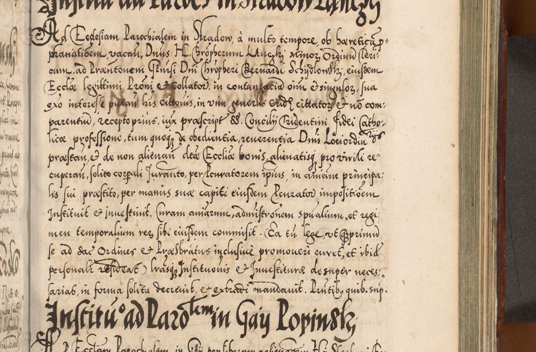 Zdjęcie nr 860 dla obiektu archiwalnego: Illistrissimo et revedissimo in Christo Patre Domino Domino Georgio Rzadziwił Miserone Divina Sacrostae R. E. Tituli S. Sixti Presbitero Cardinali Duce in Olyka et Niesswiesz ad Gubernacula Ecclessiae Cracoviensis cuius administratorialem a Sancta Sede Apostolica obtinverat feliciter sedente. Acta actorum, causarum, sententiarum tam deffinitivarum quam interloquutoriarum decretorum, obligationum, quietationum, recognitionum, constitutionum procuratorum etc. coram Reverendo Domino Stanislao Crassinskz de Crasne Archidiacono Cracoviensis, Scholastico Gnesnesis, Custode Plocensis etc. Vicario et Officiali Generali Cracoviensi in Ano Domini Millesimo Quingentesimo Nonagesimo Primo cuius indictio quarta pontificatus SS. Domini Nostri Gregorii XIIII Anno I psius prio feliciter incipiut