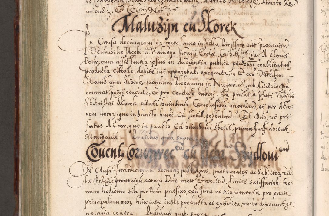 Zdjęcie nr 1217 dla obiektu archiwalnego: Illistrissimo et revedissimo in Christo Patre Domino Domino Georgio Rzadziwił Miserone Divina Sacrostae R. E. Tituli S. Sixti Presbitero Cardinali Duce in Olyka et Niesswiesz ad Gubernacula Ecclessiae Cracoviensis cuius administratorialem a Sancta Sede Apostolica obtinverat feliciter sedente. Acta actorum, causarum, sententiarum tam deffinitivarum quam interloquutoriarum decretorum, obligationum, quietationum, recognitionum, constitutionum procuratorum etc. coram Reverendo Domino Stanislao Crassinskz de Crasne Archidiacono Cracoviensis, Scholastico Gnesnesis, Custode Plocensis etc. Vicario et Officiali Generali Cracoviensi in Ano Domini Millesimo Quingentesimo Nonagesimo Primo cuius indictio quarta pontificatus SS. Domini Nostri Gregorii XIIII Anno I psius prio feliciter incipiut