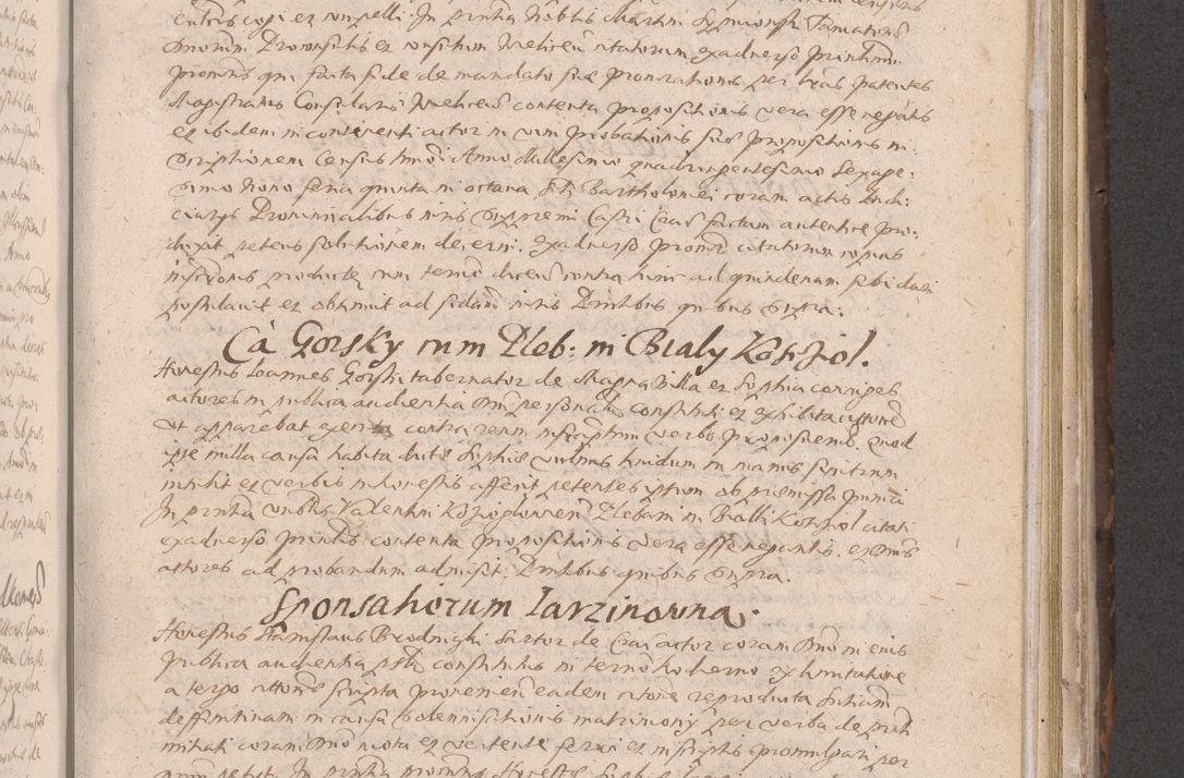 Zdjęcie nr 369 dla obiektu archiwalnego: Acta actorum causarum obligationum institutionum decretorum constitutionum quietationum resignationum cissionum et atiaru obsernationum tam indiciariarum quam extra indiciariarum coram Admodum Reverendo Domino Joanne Zerzynski Canonico Vicario in Spiritualibus et Officiali generali Cracoviensis ad Annum Domini Millesimum Sextentissimum Vigesimum Indictione tertia Pontificatus SSmi D. N. D. Pauli Divina pronidentia Papae V. foeliciter moderni anno ipsins subfelici regimine Diocesis Cracoviensis Illustrissimi ac Reverendissimi D. N. D. Martini Szyszkowski Deigratia Episcopus Cracoviensis Ducis Severiensis in continuantur.