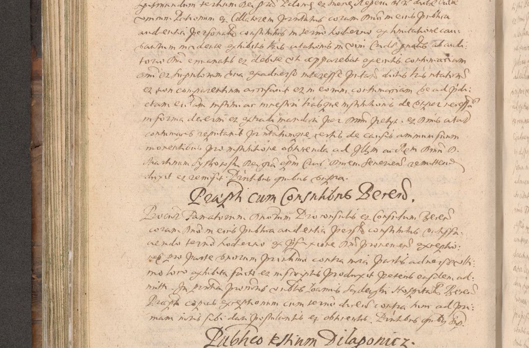 Zdjęcie nr 288 dla obiektu archiwalnego: Acta actorum causarum obligationum institutionum decretorum constitutionum quietationum resignationum cissionum et atiaru obsernationum tam indiciariarum quam extra indiciariarum coram Admodum Reverendo Domino Joanne Zerzynski Canonico Vicario in Spiritualibus et Officiali generali Cracoviensis ad Annum Domini Millesimum Sextentissimum Vigesimum Indictione tertia Pontificatus SSmi D. N. D. Pauli Divina pronidentia Papae V. foeliciter moderni anno ipsins subfelici regimine Diocesis Cracoviensis Illustrissimi ac Reverendissimi D. N. D. Martini Szyszkowski Deigratia Episcopus Cracoviensis Ducis Severiensis in continuantur.