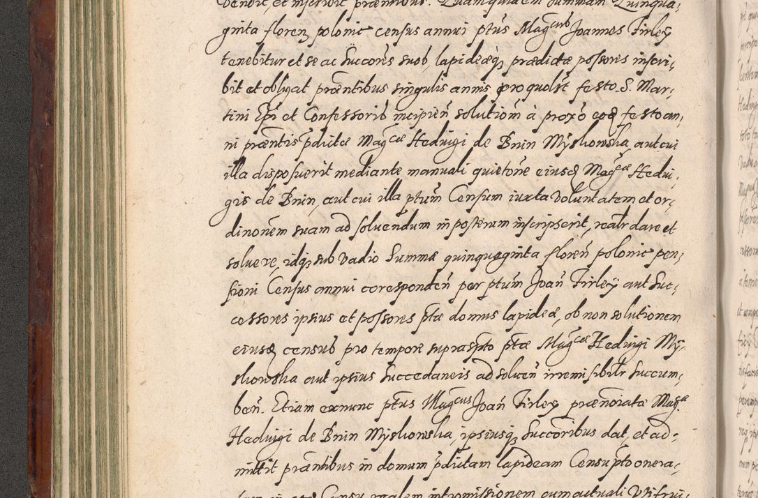Zdjęcie nr 190 dla obiektu archiwalnego: Acta actorum causarum sententiarum tam diffinitiuarum quam interloquutorisrum decretorum obligationum quietationum procuratorum constitutionum etc. etc. coram Reverendo Domino Paulo Dembski Dei et Apostolice Sedis Gratia Episcopalo Dicensis Suffraganeo Canonico Vicario in Spiritualibus et Officiali Generali Cracoviensis ad Annum Domini Millesimum Sexcentesimum Undecimum cuius indictio octava pontificatus Sanctissimi Domini Nostri Domini Pauli Divina Providentia Papae Vti foeliciter continuantur