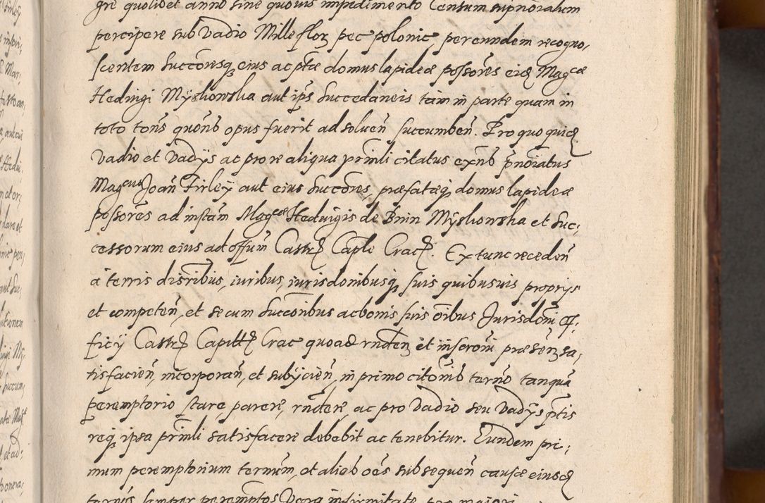 Zdjęcie nr 191 dla obiektu archiwalnego: Acta actorum causarum sententiarum tam diffinitiuarum quam interloquutorisrum decretorum obligationum quietationum procuratorum constitutionum etc. etc. coram Reverendo Domino Paulo Dembski Dei et Apostolice Sedis Gratia Episcopalo Dicensis Suffraganeo Canonico Vicario in Spiritualibus et Officiali Generali Cracoviensis ad Annum Domini Millesimum Sexcentesimum Undecimum cuius indictio octava pontificatus Sanctissimi Domini Nostri Domini Pauli Divina Providentia Papae Vti foeliciter continuantur
