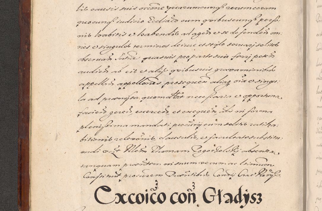 Zdjęcie nr 12 dla obiektu archiwalnego: Acta actorum causarum sententiarum tam diffinitiuarum quam interloquutorisrum decretorum obligationum quietationum procuratorum constitutionum etc. etc. coram Reverendo Domino Paulo Dembski Dei et Apostolice Sedis Gratia Episcopalo Dicensis Suffraganeo Canonico Vicario in Spiritualibus et Officiali Generali Cracoviensis ad Annum Domini Millesimum Sexcentesimum Undecimum cuius indictio octava pontificatus Sanctissimi Domini Nostri Domini Pauli Divina Providentia Papae Vti foeliciter continuantur