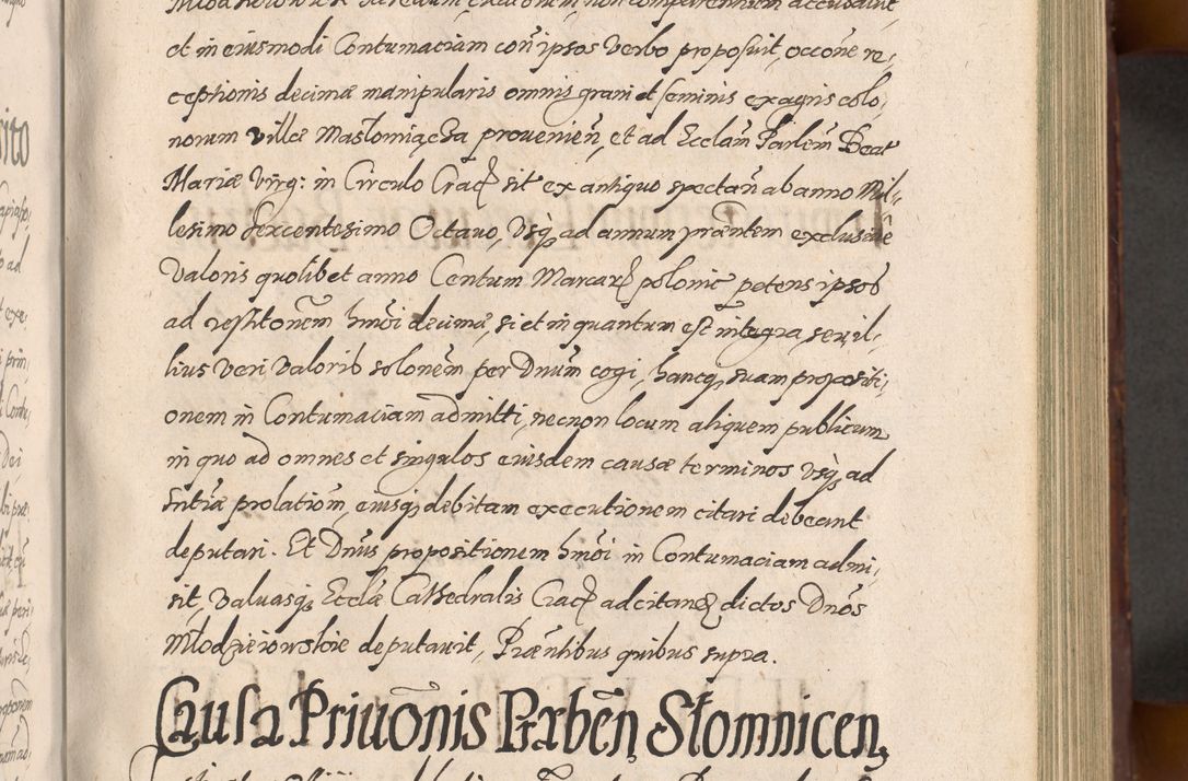 Zdjęcie nr 217 dla obiektu archiwalnego: Acta actorum causarum sententiarum tam diffinitiuarum quam interloquutorisrum decretorum obligationum quietationum procuratorum constitutionum etc. etc. coram Reverendo Domino Paulo Dembski Dei et Apostolice Sedis Gratia Episcopalo Dicensis Suffraganeo Canonico Vicario in Spiritualibus et Officiali Generali Cracoviensis ad Annum Domini Millesimum Sexcentesimum Undecimum cuius indictio octava pontificatus Sanctissimi Domini Nostri Domini Pauli Divina Providentia Papae Vti foeliciter continuantur