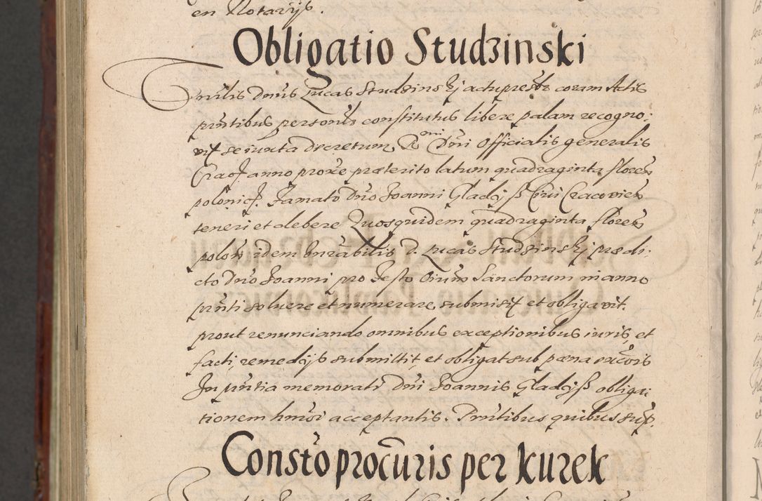Zdjęcie nr 1478 dla obiektu archiwalnego: Acta actorum causarum sententiarum tam diffinitiuarum quam interloquutorisrum decretorum obligationum quietationum procuratorum constitutionum etc. etc. coram Reverendo Domino Paulo Dembski Dei et Apostolice Sedis Gratia Episcopalo Dicensis Suffraganeo Canonico Vicario in Spiritualibus et Officiali Generali Cracoviensis ad Annum Domini Millesimum Sexcentesimum Undecimum cuius indictio octava pontificatus Sanctissimi Domini Nostri Domini Pauli Divina Providentia Papae Vti foeliciter continuantur