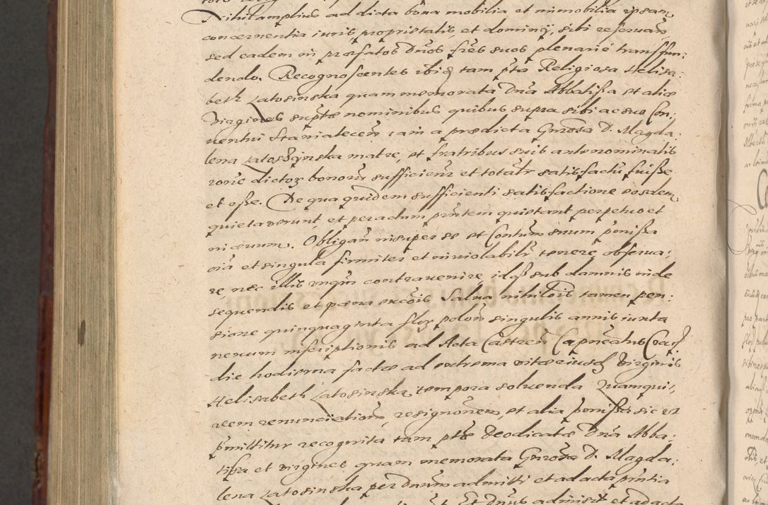 Zdjęcie nr 1326 dla obiektu archiwalnego: Acta actorum causarum sententiarum tam diffinitiuarum quam interloquutorisrum decretorum obligationum quietationum procuratorum constitutionum etc. etc. coram Reverendo Domino Paulo Dembski Dei et Apostolice Sedis Gratia Episcopalo Dicensis Suffraganeo Canonico Vicario in Spiritualibus et Officiali Generali Cracoviensis ad Annum Domini Millesimum Sexcentesimum Undecimum cuius indictio octava pontificatus Sanctissimi Domini Nostri Domini Pauli Divina Providentia Papae Vti foeliciter continuantur