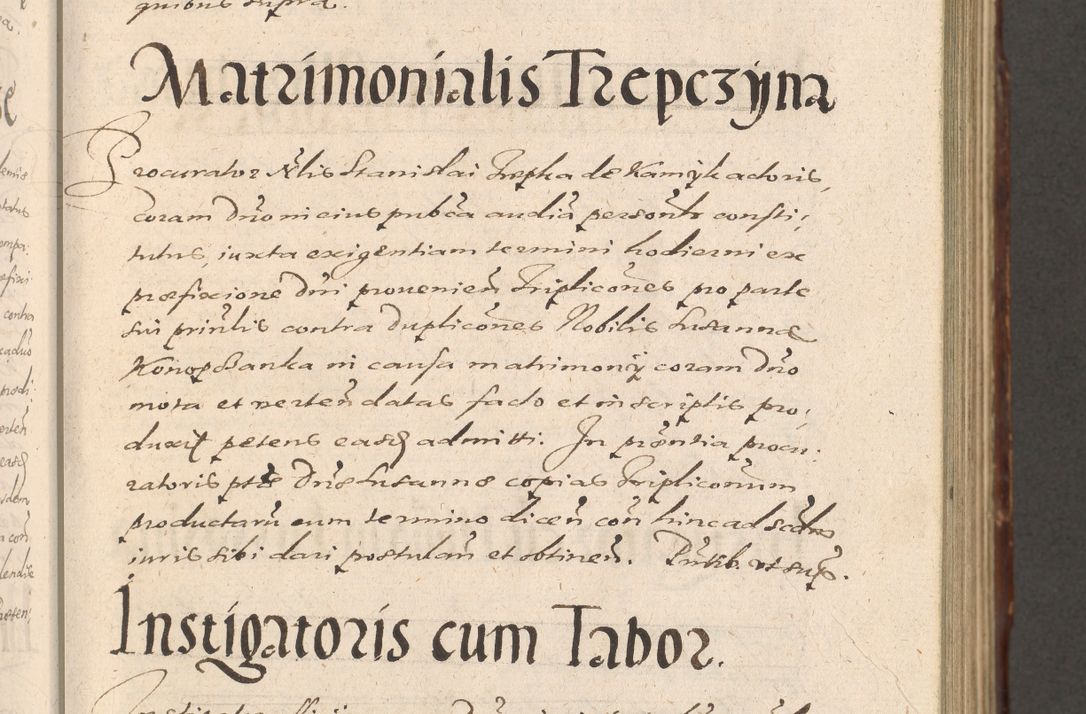 Zdjęcie nr 221 dla obiektu archiwalnego: Illustrissimo et Reverendissimo in Christo Patre Domino Domino Petro Tylicki Dei et Apostolice Sedis Gratia Episcopo Cracoviensis Duce Severiensis Acta actorum causarum sententiarum tam interloquutoriarum quam definitivarum decretorum obligationum, quietationum, recognitionum, constitutionum procuratorum etc. etc. coram Admodum Reverendo Domino Thoma Oborski I. V. Doctore Canonico Vicario in Spiritualibus et Officiali generali Cracoviensis in anno Domini Millesimo Sexcentessimo Decimoquarto Cuius Indictio duodecima Pontificus SS. D. N. D. Pauli Divina providentia Papae quinti Anno decimo foeliciter incipiunt