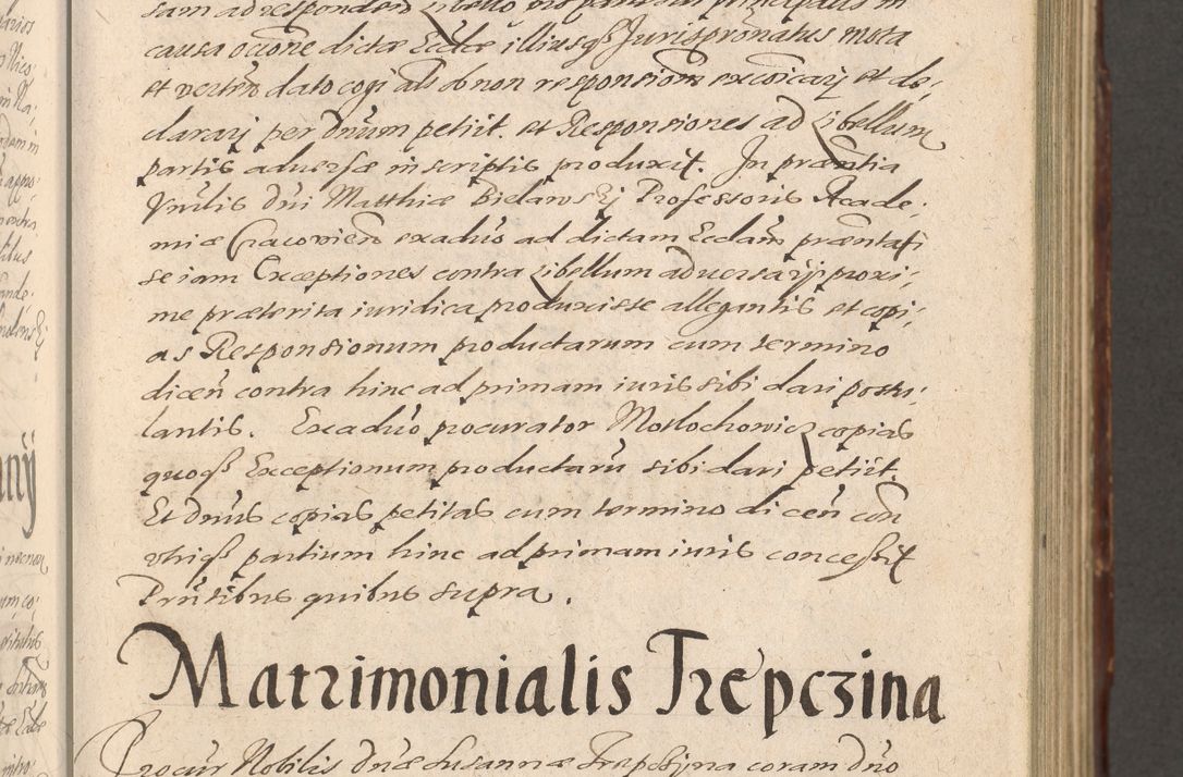 Zdjęcie nr 207 dla obiektu archiwalnego: Illustrissimo et Reverendissimo in Christo Patre Domino Domino Petro Tylicki Dei et Apostolice Sedis Gratia Episcopo Cracoviensis Duce Severiensis Acta actorum causarum sententiarum tam interloquutoriarum quam definitivarum decretorum obligationum, quietationum, recognitionum, constitutionum procuratorum etc. etc. coram Admodum Reverendo Domino Thoma Oborski I. V. Doctore Canonico Vicario in Spiritualibus et Officiali generali Cracoviensis in anno Domini Millesimo Sexcentessimo Decimoquarto Cuius Indictio duodecima Pontificus SS. D. N. D. Pauli Divina providentia Papae quinti Anno decimo foeliciter incipiunt