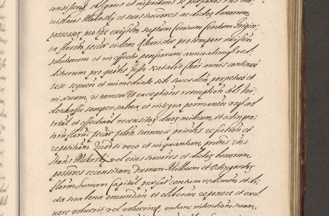 Zdjęcie nr 45 dla obiektu archiwalnego: Illustrissimo et Reverendissimo in Christo Patre Domino Domino Petro Tylicki Dei et Apostolice Sedis Gratia Episcopo Cracoviensis Duce Severiensis Acta actorum causarum sententiarum tam interloquutoriarum quam definitivarum decretorum obligationum, quietationum, recognitionum, constitutionum procuratorum etc. etc. coram Admodum Reverendo Domino Thoma Oborski I. V. Doctore Canonico Vicario in Spiritualibus et Officiali generali Cracoviensis in anno Domini Millesimo Sexcentessimo Decimoquarto Cuius Indictio duodecima Pontificus SS. D. N. D. Pauli Divina providentia Papae quinti Anno decimo foeliciter incipiunt