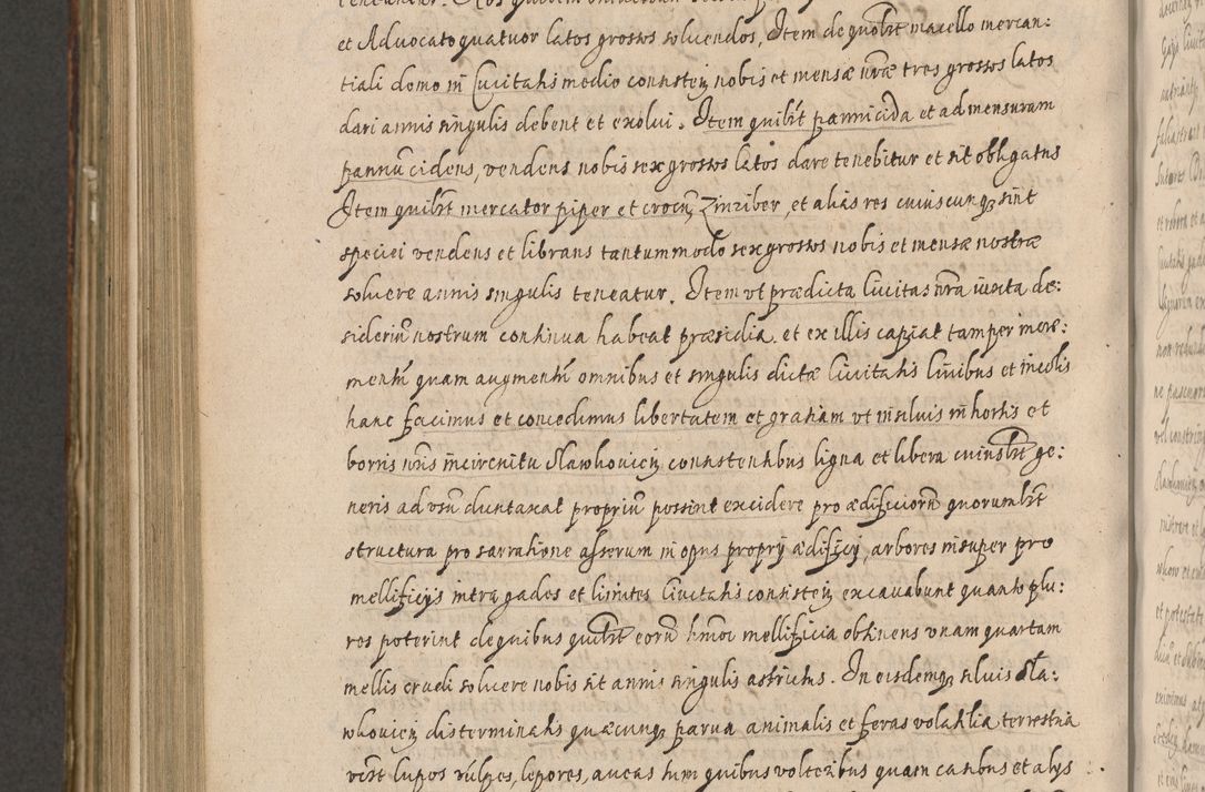 Zdjęcie nr 1044 dla obiektu archiwalnego: Illustrissimo et Reverendissimo in Christo Patre Domino Domino Petro Tylicki Dei et Apostolice Sedis Gratia Episcopo Cracoviensis Duce Severiensis Acta actorum causarum sententiarum tam interloquutoriarum quam definitivarum decretorum obligationum, quietationum, recognitionum, constitutionum procuratorum etc. etc. coram Admodum Reverendo Domino Thoma Oborski I. V. Doctore Canonico Vicario in Spiritualibus et Officiali generali Cracoviensis in anno Domini Millesimo Sexcentessimo Decimoquarto Cuius Indictio duodecima Pontificus SS. D. N. D. Pauli Divina providentia Papae quinti Anno decimo foeliciter incipiunt