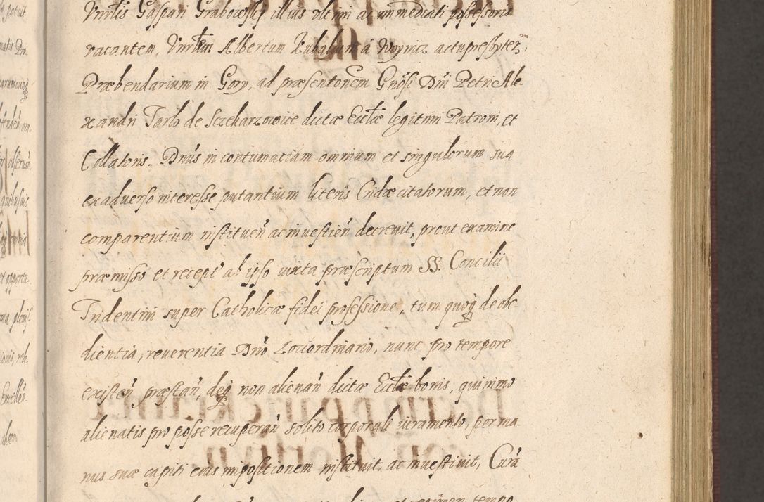 Zdjęcie nr 183 dla obiektu archiwalnego: Acta actorum causarum obligationum institutionum, decretorum, constitutionum, quietonum, resignonum, cessionum, accaeterarum, obseruonum tam iudicialium quam extraiudicialium coram Admondo Reverendo Domino Joanne Zerzynski Canonico, Vicario in Spiritualibus et Officiali generali Cracoviensis Iudice deputati per Illustrissimum ac Reverendissimum Dominum Martinum Szyszkowski Dei et Apostolice Sedis gratia Episcopum Cracoviensis ad Annum Domini Millesimum Sexcentesimum Decimum Septimum Indicatione quindecima Pontificus SS. D. N. D. Pauli Divina providentia Papae V. foeliciter moderni anno ipsus duodecimo continuantur