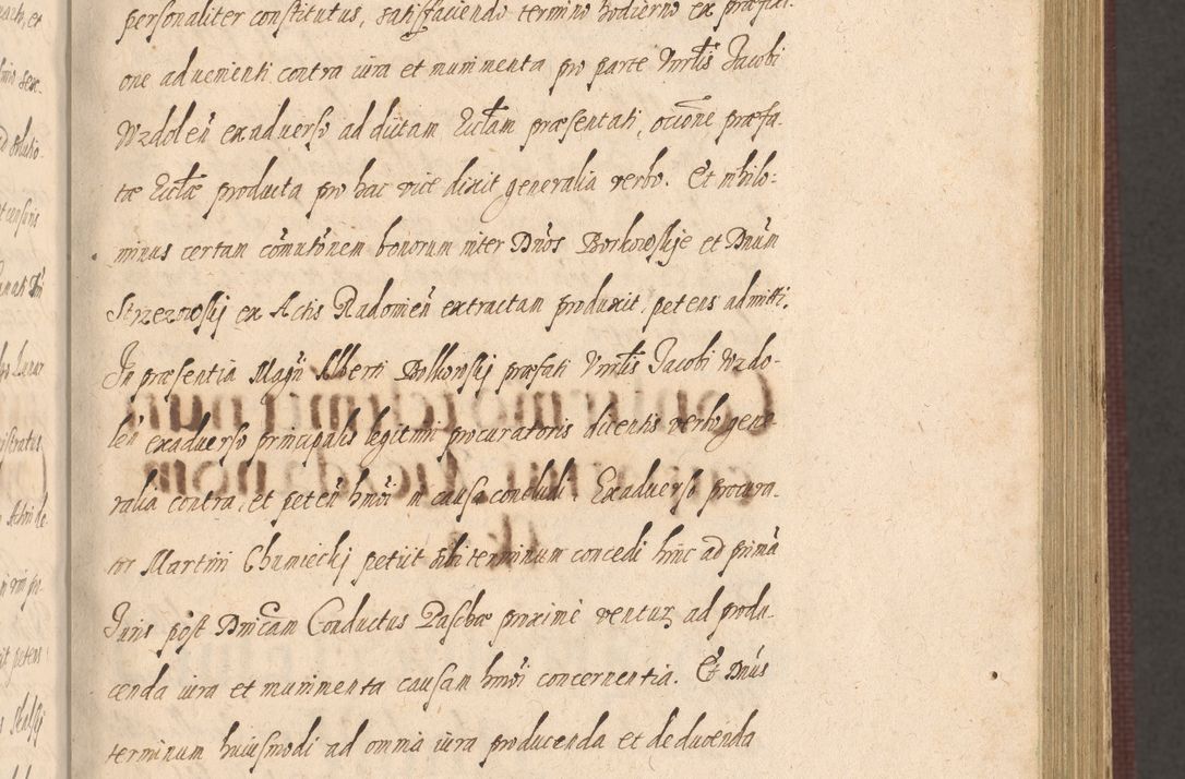 Zdjęcie nr 171 dla obiektu archiwalnego: Acta actorum causarum obligationum institutionum, decretorum, constitutionum, quietonum, resignonum, cessionum, accaeterarum, obseruonum tam iudicialium quam extraiudicialium coram Admondo Reverendo Domino Joanne Zerzynski Canonico, Vicario in Spiritualibus et Officiali generali Cracoviensis Iudice deputati per Illustrissimum ac Reverendissimum Dominum Martinum Szyszkowski Dei et Apostolice Sedis gratia Episcopum Cracoviensis ad Annum Domini Millesimum Sexcentesimum Decimum Septimum Indicatione quindecima Pontificus SS. D. N. D. Pauli Divina providentia Papae V. foeliciter moderni anno ipsus duodecimo continuantur