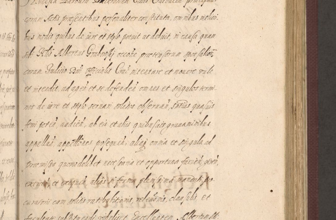 Zdjęcie nr 157 dla obiektu archiwalnego: Acta actorum causarum obligationum institutionum, decretorum, constitutionum, quietonum, resignonum, cessionum, accaeterarum, obseruonum tam iudicialium quam extraiudicialium coram Admondo Reverendo Domino Joanne Zerzynski Canonico, Vicario in Spiritualibus et Officiali generali Cracoviensis Iudice deputati per Illustrissimum ac Reverendissimum Dominum Martinum Szyszkowski Dei et Apostolice Sedis gratia Episcopum Cracoviensis ad Annum Domini Millesimum Sexcentesimum Decimum Septimum Indicatione quindecima Pontificus SS. D. N. D. Pauli Divina providentia Papae V. foeliciter moderni anno ipsus duodecimo continuantur