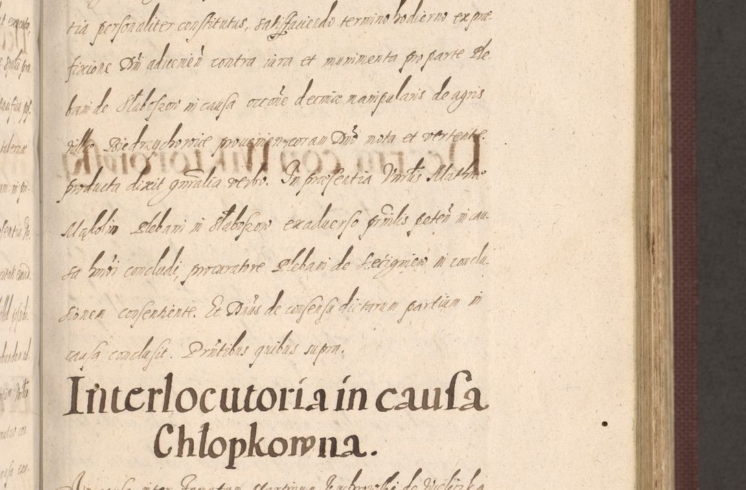 Zdjęcie nr 129 dla obiektu archiwalnego: Acta actorum causarum obligationum institutionum, decretorum, constitutionum, quietonum, resignonum, cessionum, accaeterarum, obseruonum tam iudicialium quam extraiudicialium coram Admondo Reverendo Domino Joanne Zerzynski Canonico, Vicario in Spiritualibus et Officiali generali Cracoviensis Iudice deputati per Illustrissimum ac Reverendissimum Dominum Martinum Szyszkowski Dei et Apostolice Sedis gratia Episcopum Cracoviensis ad Annum Domini Millesimum Sexcentesimum Decimum Septimum Indicatione quindecima Pontificus SS. D. N. D. Pauli Divina providentia Papae V. foeliciter moderni anno ipsus duodecimo continuantur