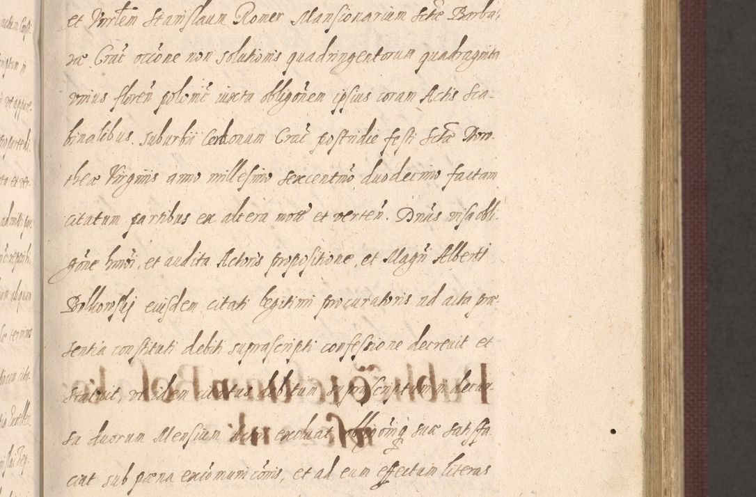 Zdjęcie nr 125 dla obiektu archiwalnego: Acta actorum causarum obligationum institutionum, decretorum, constitutionum, quietonum, resignonum, cessionum, accaeterarum, obseruonum tam iudicialium quam extraiudicialium coram Admondo Reverendo Domino Joanne Zerzynski Canonico, Vicario in Spiritualibus et Officiali generali Cracoviensis Iudice deputati per Illustrissimum ac Reverendissimum Dominum Martinum Szyszkowski Dei et Apostolice Sedis gratia Episcopum Cracoviensis ad Annum Domini Millesimum Sexcentesimum Decimum Septimum Indicatione quindecima Pontificus SS. D. N. D. Pauli Divina providentia Papae V. foeliciter moderni anno ipsus duodecimo continuantur