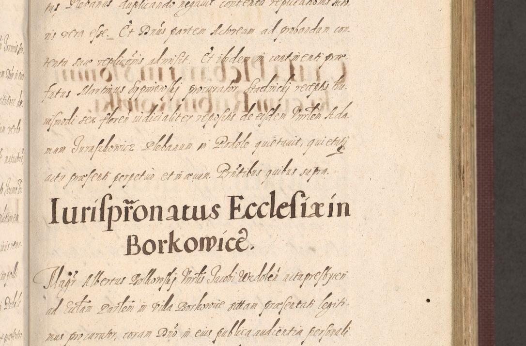 Zdjęcie nr 105 dla obiektu archiwalnego: Acta actorum causarum obligationum institutionum, decretorum, constitutionum, quietonum, resignonum, cessionum, accaeterarum, obseruonum tam iudicialium quam extraiudicialium coram Admondo Reverendo Domino Joanne Zerzynski Canonico, Vicario in Spiritualibus et Officiali generali Cracoviensis Iudice deputati per Illustrissimum ac Reverendissimum Dominum Martinum Szyszkowski Dei et Apostolice Sedis gratia Episcopum Cracoviensis ad Annum Domini Millesimum Sexcentesimum Decimum Septimum Indicatione quindecima Pontificus SS. D. N. D. Pauli Divina providentia Papae V. foeliciter moderni anno ipsus duodecimo continuantur