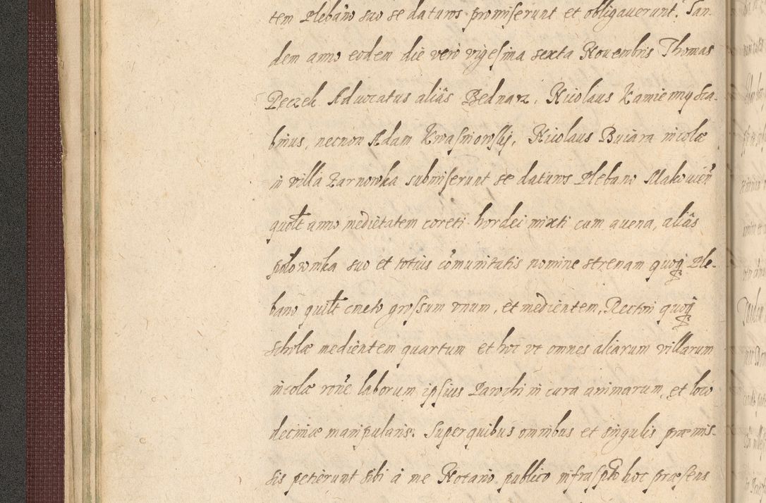 Zdjęcie nr 86 dla obiektu archiwalnego: Acta actorum causarum obligationum institutionum, decretorum, constitutionum, quietonum, resignonum, cessionum, accaeterarum, obseruonum tam iudicialium quam extraiudicialium coram Admondo Reverendo Domino Joanne Zerzynski Canonico, Vicario in Spiritualibus et Officiali generali Cracoviensis Iudice deputati per Illustrissimum ac Reverendissimum Dominum Martinum Szyszkowski Dei et Apostolice Sedis gratia Episcopum Cracoviensis ad Annum Domini Millesimum Sexcentesimum Decimum Septimum Indicatione quindecima Pontificus SS. D. N. D. Pauli Divina providentia Papae V. foeliciter moderni anno ipsus duodecimo continuantur