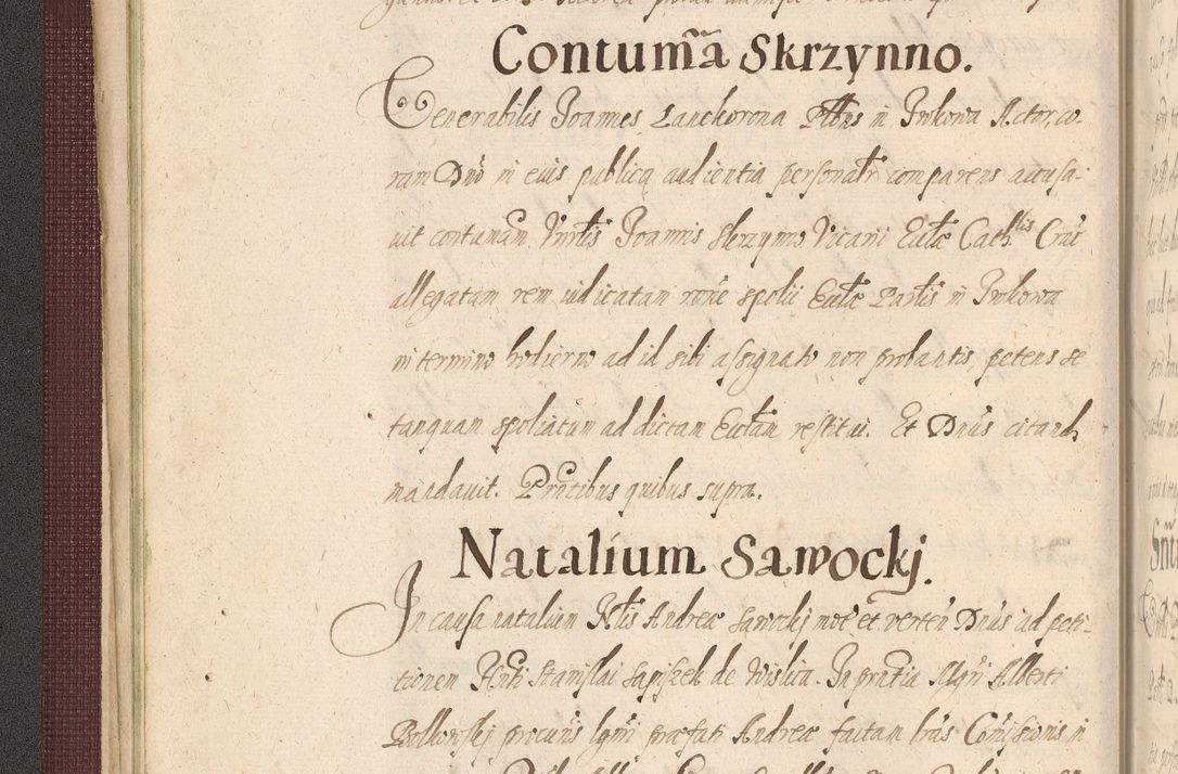 Zdjęcie nr 66 dla obiektu archiwalnego: Acta actorum causarum obligationum institutionum, decretorum, constitutionum, quietonum, resignonum, cessionum, accaeterarum, obseruonum tam iudicialium quam extraiudicialium coram Admondo Reverendo Domino Joanne Zerzynski Canonico, Vicario in Spiritualibus et Officiali generali Cracoviensis Iudice deputati per Illustrissimum ac Reverendissimum Dominum Martinum Szyszkowski Dei et Apostolice Sedis gratia Episcopum Cracoviensis ad Annum Domini Millesimum Sexcentesimum Decimum Septimum Indicatione quindecima Pontificus SS. D. N. D. Pauli Divina providentia Papae V. foeliciter moderni anno ipsus duodecimo continuantur