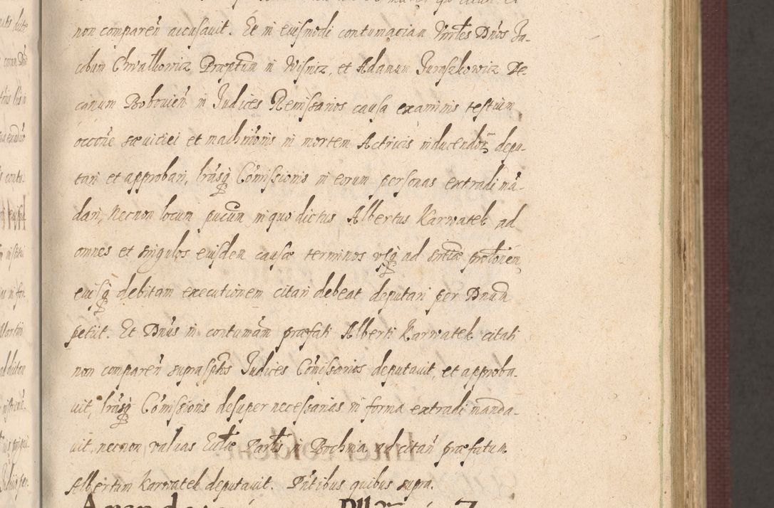 Zdjęcie nr 49 dla obiektu archiwalnego: Acta actorum causarum obligationum institutionum, decretorum, constitutionum, quietonum, resignonum, cessionum, accaeterarum, obseruonum tam iudicialium quam extraiudicialium coram Admondo Reverendo Domino Joanne Zerzynski Canonico, Vicario in Spiritualibus et Officiali generali Cracoviensis Iudice deputati per Illustrissimum ac Reverendissimum Dominum Martinum Szyszkowski Dei et Apostolice Sedis gratia Episcopum Cracoviensis ad Annum Domini Millesimum Sexcentesimum Decimum Septimum Indicatione quindecima Pontificus SS. D. N. D. Pauli Divina providentia Papae V. foeliciter moderni anno ipsus duodecimo continuantur