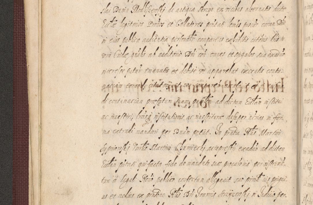 Zdjęcie nr 48 dla obiektu archiwalnego: Acta actorum causarum obligationum institutionum, decretorum, constitutionum, quietonum, resignonum, cessionum, accaeterarum, obseruonum tam iudicialium quam extraiudicialium coram Admondo Reverendo Domino Joanne Zerzynski Canonico, Vicario in Spiritualibus et Officiali generali Cracoviensis Iudice deputati per Illustrissimum ac Reverendissimum Dominum Martinum Szyszkowski Dei et Apostolice Sedis gratia Episcopum Cracoviensis ad Annum Domini Millesimum Sexcentesimum Decimum Septimum Indicatione quindecima Pontificus SS. D. N. D. Pauli Divina providentia Papae V. foeliciter moderni anno ipsus duodecimo continuantur