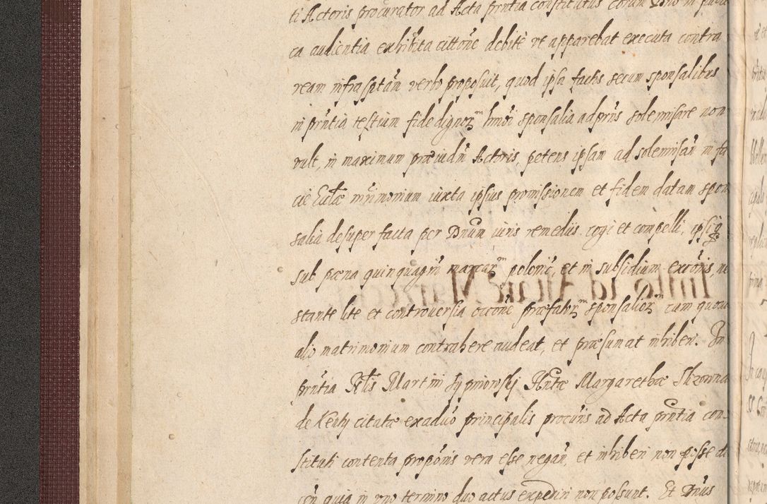 Zdjęcie nr 28 dla obiektu archiwalnego: Acta actorum causarum obligationum institutionum, decretorum, constitutionum, quietonum, resignonum, cessionum, accaeterarum, obseruonum tam iudicialium quam extraiudicialium coram Admondo Reverendo Domino Joanne Zerzynski Canonico, Vicario in Spiritualibus et Officiali generali Cracoviensis Iudice deputati per Illustrissimum ac Reverendissimum Dominum Martinum Szyszkowski Dei et Apostolice Sedis gratia Episcopum Cracoviensis ad Annum Domini Millesimum Sexcentesimum Decimum Septimum Indicatione quindecima Pontificus SS. D. N. D. Pauli Divina providentia Papae V. foeliciter moderni anno ipsus duodecimo continuantur
