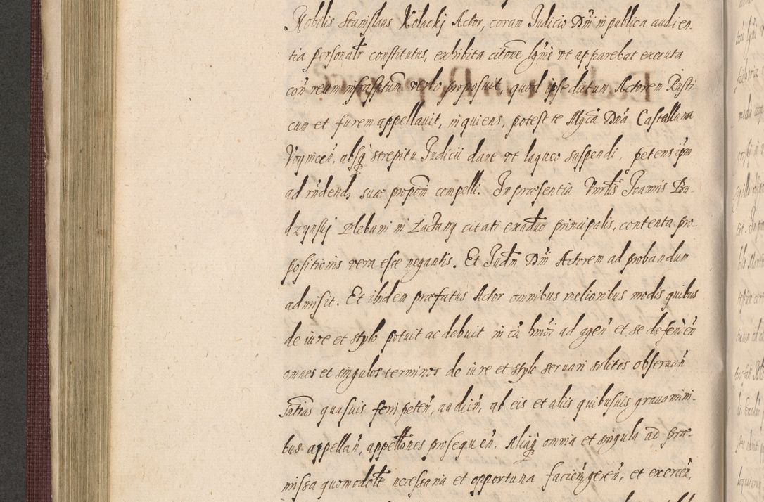 Zdjęcie nr 376 dla obiektu archiwalnego: Acta actorum causarum obligationum institutionum, decretorum, constitutionum, quietonum, resignonum, cessionum, accaeterarum, obseruonum tam iudicialium quam extraiudicialium coram Admondo Reverendo Domino Joanne Zerzynski Canonico, Vicario in Spiritualibus et Officiali generali Cracoviensis Iudice deputati per Illustrissimum ac Reverendissimum Dominum Martinum Szyszkowski Dei et Apostolice Sedis gratia Episcopum Cracoviensis ad Annum Domini Millesimum Sexcentesimum Decimum Septimum Indicatione quindecima Pontificus SS. D. N. D. Pauli Divina providentia Papae V. foeliciter moderni anno ipsus duodecimo continuantur