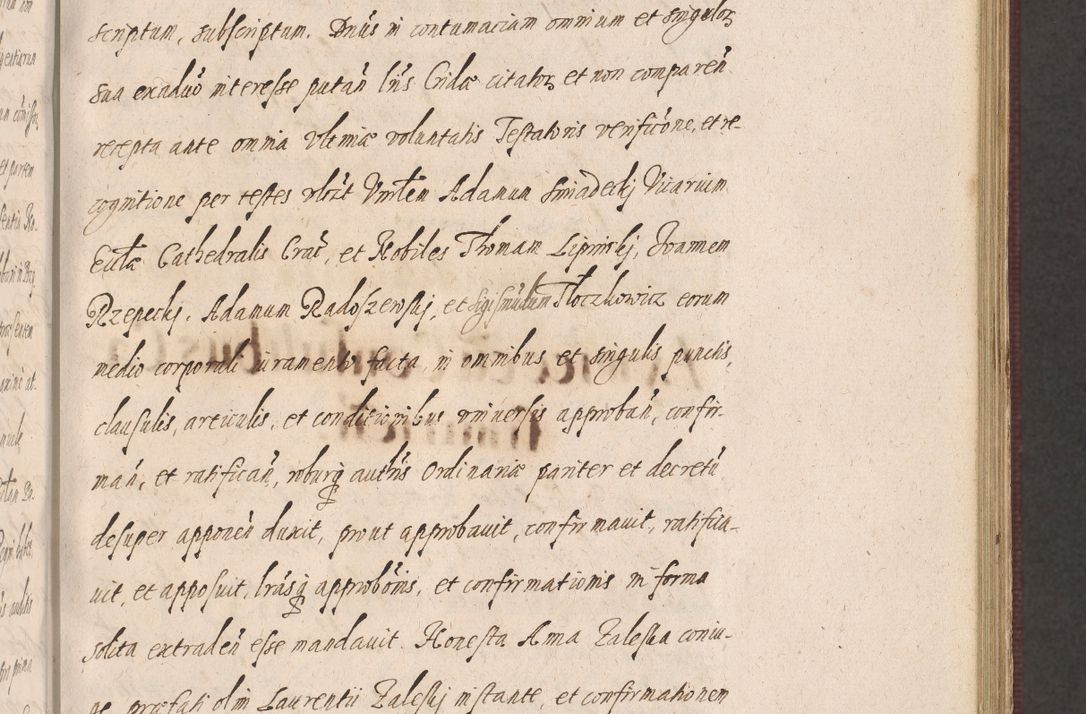 Zdjęcie nr 343 dla obiektu archiwalnego: Acta actorum causarum obligationum institutionum, decretorum, constitutionum, quietonum, resignonum, cessionum, accaeterarum, obseruonum tam iudicialium quam extraiudicialium coram Admondo Reverendo Domino Joanne Zerzynski Canonico, Vicario in Spiritualibus et Officiali generali Cracoviensis Iudice deputati per Illustrissimum ac Reverendissimum Dominum Martinum Szyszkowski Dei et Apostolice Sedis gratia Episcopum Cracoviensis ad Annum Domini Millesimum Sexcentesimum Decimum Septimum Indicatione quindecima Pontificus SS. D. N. D. Pauli Divina providentia Papae V. foeliciter moderni anno ipsus duodecimo continuantur