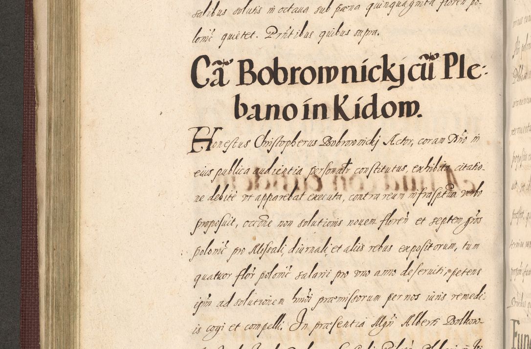 Zdjęcie nr 298 dla obiektu archiwalnego: Acta actorum causarum obligationum institutionum, decretorum, constitutionum, quietonum, resignonum, cessionum, accaeterarum, obseruonum tam iudicialium quam extraiudicialium coram Admondo Reverendo Domino Joanne Zerzynski Canonico, Vicario in Spiritualibus et Officiali generali Cracoviensis Iudice deputati per Illustrissimum ac Reverendissimum Dominum Martinum Szyszkowski Dei et Apostolice Sedis gratia Episcopum Cracoviensis ad Annum Domini Millesimum Sexcentesimum Decimum Septimum Indicatione quindecima Pontificus SS. D. N. D. Pauli Divina providentia Papae V. foeliciter moderni anno ipsus duodecimo continuantur