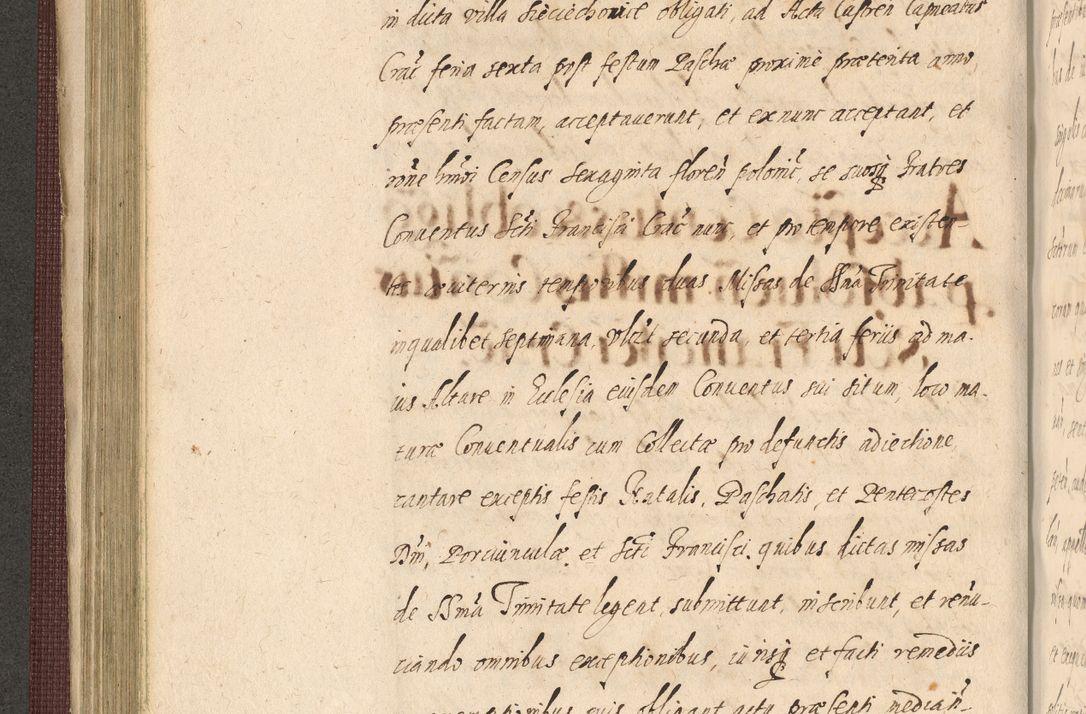 Zdjęcie nr 268 dla obiektu archiwalnego: Acta actorum causarum obligationum institutionum, decretorum, constitutionum, quietonum, resignonum, cessionum, accaeterarum, obseruonum tam iudicialium quam extraiudicialium coram Admondo Reverendo Domino Joanne Zerzynski Canonico, Vicario in Spiritualibus et Officiali generali Cracoviensis Iudice deputati per Illustrissimum ac Reverendissimum Dominum Martinum Szyszkowski Dei et Apostolice Sedis gratia Episcopum Cracoviensis ad Annum Domini Millesimum Sexcentesimum Decimum Septimum Indicatione quindecima Pontificus SS. D. N. D. Pauli Divina providentia Papae V. foeliciter moderni anno ipsus duodecimo continuantur