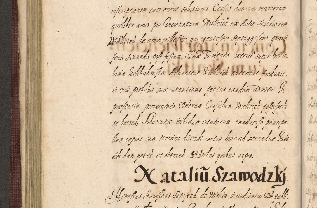 Zdjęcie nr 264 dla obiektu archiwalnego: Acta actorum causarum obligationum institutionum, decretorum, constitutionum, quietonum, resignonum, cessionum, accaeterarum, obseruonum tam iudicialium quam extraiudicialium coram Admondo Reverendo Domino Joanne Zerzynski Canonico, Vicario in Spiritualibus et Officiali generali Cracoviensis Iudice deputati per Illustrissimum ac Reverendissimum Dominum Martinum Szyszkowski Dei et Apostolice Sedis gratia Episcopum Cracoviensis ad Annum Domini Millesimum Sexcentesimum Decimum Septimum Indicatione quindecima Pontificus SS. D. N. D. Pauli Divina providentia Papae V. foeliciter moderni anno ipsus duodecimo continuantur