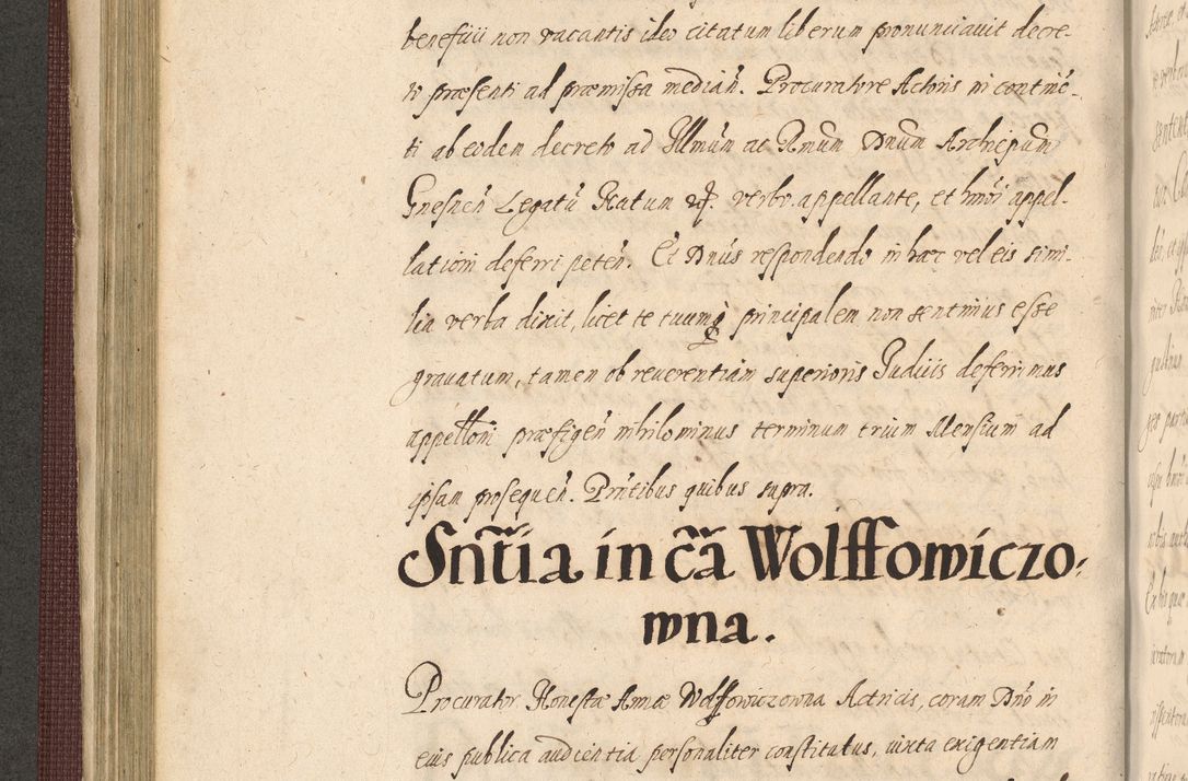 Zdjęcie nr 252 dla obiektu archiwalnego: Acta actorum causarum obligationum institutionum, decretorum, constitutionum, quietonum, resignonum, cessionum, accaeterarum, obseruonum tam iudicialium quam extraiudicialium coram Admondo Reverendo Domino Joanne Zerzynski Canonico, Vicario in Spiritualibus et Officiali generali Cracoviensis Iudice deputati per Illustrissimum ac Reverendissimum Dominum Martinum Szyszkowski Dei et Apostolice Sedis gratia Episcopum Cracoviensis ad Annum Domini Millesimum Sexcentesimum Decimum Septimum Indicatione quindecima Pontificus SS. D. N. D. Pauli Divina providentia Papae V. foeliciter moderni anno ipsus duodecimo continuantur