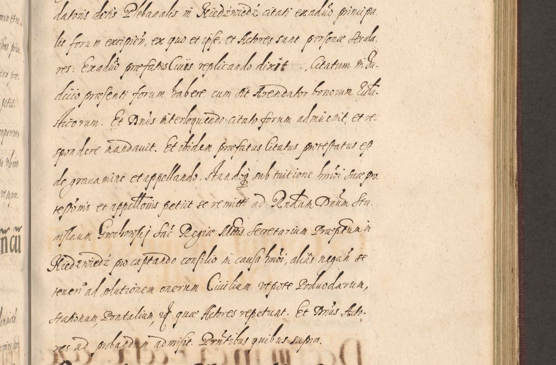 Zdjęcie nr 249 dla obiektu archiwalnego: Acta actorum causarum obligationum institutionum, decretorum, constitutionum, quietonum, resignonum, cessionum, accaeterarum, obseruonum tam iudicialium quam extraiudicialium coram Admondo Reverendo Domino Joanne Zerzynski Canonico, Vicario in Spiritualibus et Officiali generali Cracoviensis Iudice deputati per Illustrissimum ac Reverendissimum Dominum Martinum Szyszkowski Dei et Apostolice Sedis gratia Episcopum Cracoviensis ad Annum Domini Millesimum Sexcentesimum Decimum Septimum Indicatione quindecima Pontificus SS. D. N. D. Pauli Divina providentia Papae V. foeliciter moderni anno ipsus duodecimo continuantur