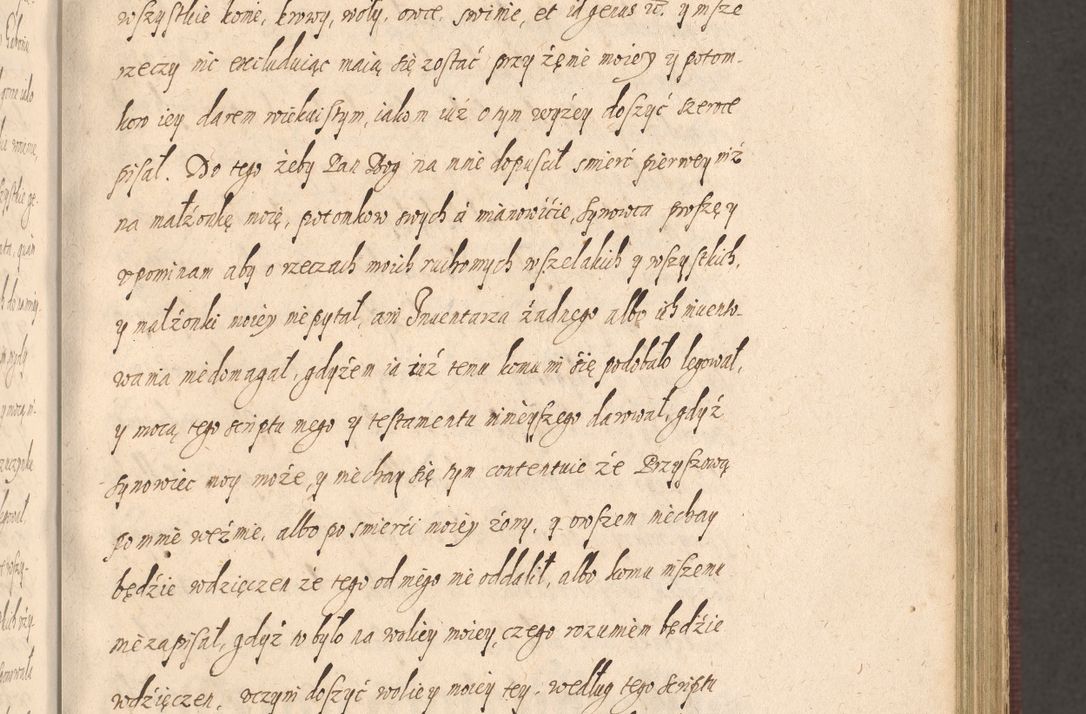 Zdjęcie nr 233 dla obiektu archiwalnego: Acta actorum causarum obligationum institutionum, decretorum, constitutionum, quietonum, resignonum, cessionum, accaeterarum, obseruonum tam iudicialium quam extraiudicialium coram Admondo Reverendo Domino Joanne Zerzynski Canonico, Vicario in Spiritualibus et Officiali generali Cracoviensis Iudice deputati per Illustrissimum ac Reverendissimum Dominum Martinum Szyszkowski Dei et Apostolice Sedis gratia Episcopum Cracoviensis ad Annum Domini Millesimum Sexcentesimum Decimum Septimum Indicatione quindecima Pontificus SS. D. N. D. Pauli Divina providentia Papae V. foeliciter moderni anno ipsus duodecimo continuantur