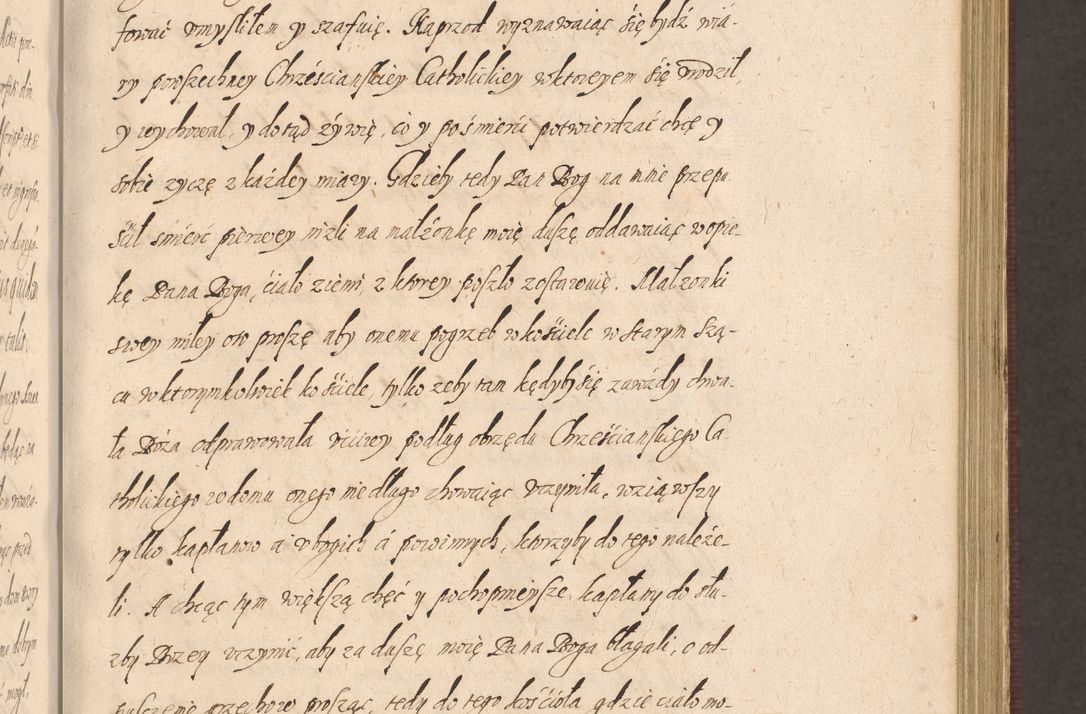 Zdjęcie nr 229 dla obiektu archiwalnego: Acta actorum causarum obligationum institutionum, decretorum, constitutionum, quietonum, resignonum, cessionum, accaeterarum, obseruonum tam iudicialium quam extraiudicialium coram Admondo Reverendo Domino Joanne Zerzynski Canonico, Vicario in Spiritualibus et Officiali generali Cracoviensis Iudice deputati per Illustrissimum ac Reverendissimum Dominum Martinum Szyszkowski Dei et Apostolice Sedis gratia Episcopum Cracoviensis ad Annum Domini Millesimum Sexcentesimum Decimum Septimum Indicatione quindecima Pontificus SS. D. N. D. Pauli Divina providentia Papae V. foeliciter moderni anno ipsus duodecimo continuantur