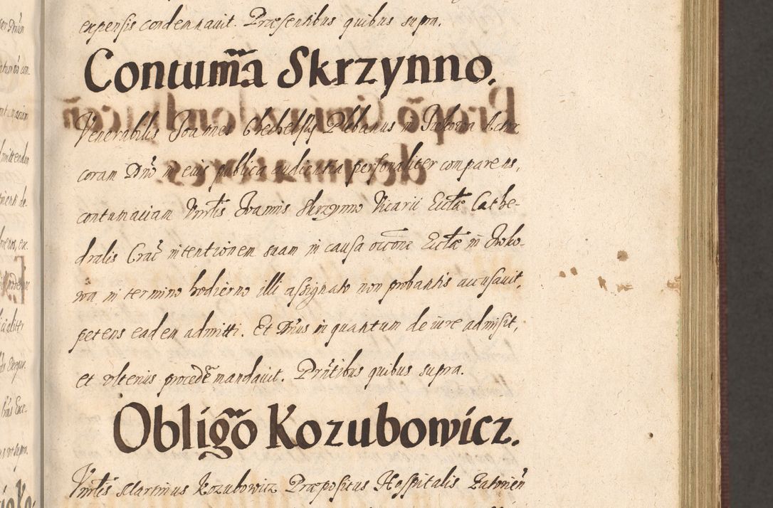 Zdjęcie nr 217 dla obiektu archiwalnego: Acta actorum causarum obligationum institutionum, decretorum, constitutionum, quietonum, resignonum, cessionum, accaeterarum, obseruonum tam iudicialium quam extraiudicialium coram Admondo Reverendo Domino Joanne Zerzynski Canonico, Vicario in Spiritualibus et Officiali generali Cracoviensis Iudice deputati per Illustrissimum ac Reverendissimum Dominum Martinum Szyszkowski Dei et Apostolice Sedis gratia Episcopum Cracoviensis ad Annum Domini Millesimum Sexcentesimum Decimum Septimum Indicatione quindecima Pontificus SS. D. N. D. Pauli Divina providentia Papae V. foeliciter moderni anno ipsus duodecimo continuantur