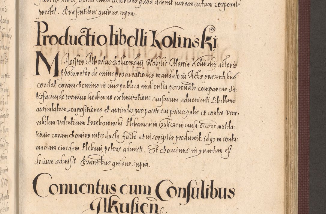Zdjęcie nr 595 dla obiektu archiwalnego: Acta actorum causarum obligationum institutionum, decretorum, constitutionum, quietonum, resignonum, cessionum, accaeterarum, obseruonum tam iudicialium quam extraiudicialium coram Admondo Reverendo Domino Joanne Zerzynski Canonico, Vicario in Spiritualibus et Officiali generali Cracoviensis Iudice deputati per Illustrissimum ac Reverendissimum Dominum Martinum Szyszkowski Dei et Apostolice Sedis gratia Episcopum Cracoviensis ad Annum Domini Millesimum Sexcentesimum Decimum Septimum Indicatione quindecima Pontificus SS. D. N. D. Pauli Divina providentia Papae V. foeliciter moderni anno ipsus duodecimo continuantur