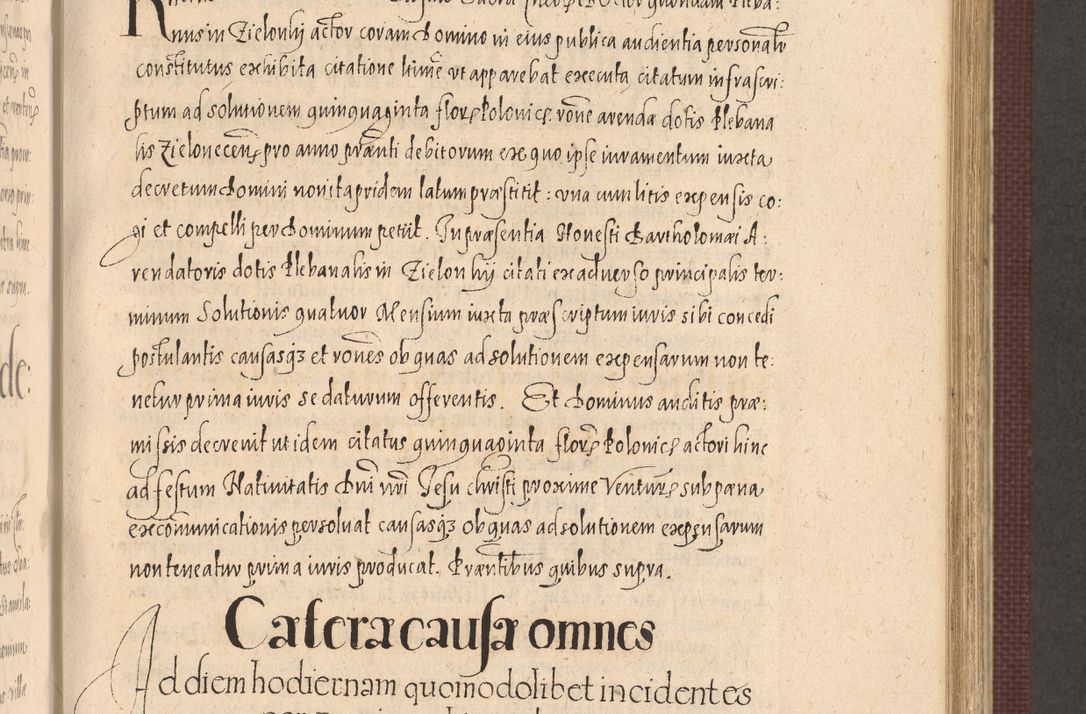 Zdjęcie nr 599 dla obiektu archiwalnego: Acta actorum causarum obligationum institutionum, decretorum, constitutionum, quietonum, resignonum, cessionum, accaeterarum, obseruonum tam iudicialium quam extraiudicialium coram Admondo Reverendo Domino Joanne Zerzynski Canonico, Vicario in Spiritualibus et Officiali generali Cracoviensis Iudice deputati per Illustrissimum ac Reverendissimum Dominum Martinum Szyszkowski Dei et Apostolice Sedis gratia Episcopum Cracoviensis ad Annum Domini Millesimum Sexcentesimum Decimum Septimum Indicatione quindecima Pontificus SS. D. N. D. Pauli Divina providentia Papae V. foeliciter moderni anno ipsus duodecimo continuantur