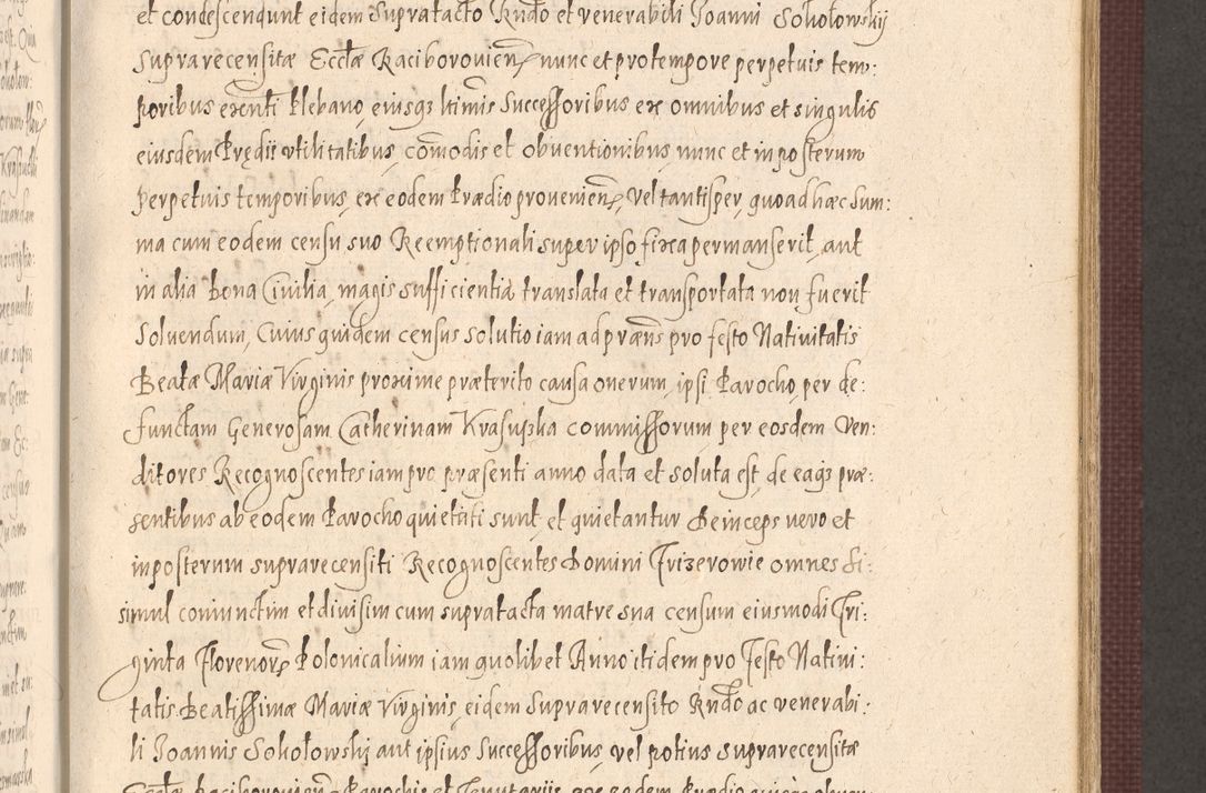 Zdjęcie nr 563 dla obiektu archiwalnego: Acta actorum causarum obligationum institutionum, decretorum, constitutionum, quietonum, resignonum, cessionum, accaeterarum, obseruonum tam iudicialium quam extraiudicialium coram Admondo Reverendo Domino Joanne Zerzynski Canonico, Vicario in Spiritualibus et Officiali generali Cracoviensis Iudice deputati per Illustrissimum ac Reverendissimum Dominum Martinum Szyszkowski Dei et Apostolice Sedis gratia Episcopum Cracoviensis ad Annum Domini Millesimum Sexcentesimum Decimum Septimum Indicatione quindecima Pontificus SS. D. N. D. Pauli Divina providentia Papae V. foeliciter moderni anno ipsus duodecimo continuantur