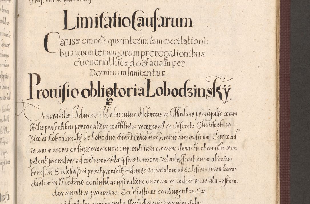 Zdjęcie nr 495 dla obiektu archiwalnego: Acta actorum causarum obligationum institutionum, decretorum, constitutionum, quietonum, resignonum, cessionum, accaeterarum, obseruonum tam iudicialium quam extraiudicialium coram Admondo Reverendo Domino Joanne Zerzynski Canonico, Vicario in Spiritualibus et Officiali generali Cracoviensis Iudice deputati per Illustrissimum ac Reverendissimum Dominum Martinum Szyszkowski Dei et Apostolice Sedis gratia Episcopum Cracoviensis ad Annum Domini Millesimum Sexcentesimum Decimum Septimum Indicatione quindecima Pontificus SS. D. N. D. Pauli Divina providentia Papae V. foeliciter moderni anno ipsus duodecimo continuantur
