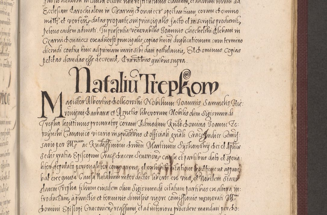 Zdjęcie nr 463 dla obiektu archiwalnego: Acta actorum causarum obligationum institutionum, decretorum, constitutionum, quietonum, resignonum, cessionum, accaeterarum, obseruonum tam iudicialium quam extraiudicialium coram Admondo Reverendo Domino Joanne Zerzynski Canonico, Vicario in Spiritualibus et Officiali generali Cracoviensis Iudice deputati per Illustrissimum ac Reverendissimum Dominum Martinum Szyszkowski Dei et Apostolice Sedis gratia Episcopum Cracoviensis ad Annum Domini Millesimum Sexcentesimum Decimum Septimum Indicatione quindecima Pontificus SS. D. N. D. Pauli Divina providentia Papae V. foeliciter moderni anno ipsus duodecimo continuantur